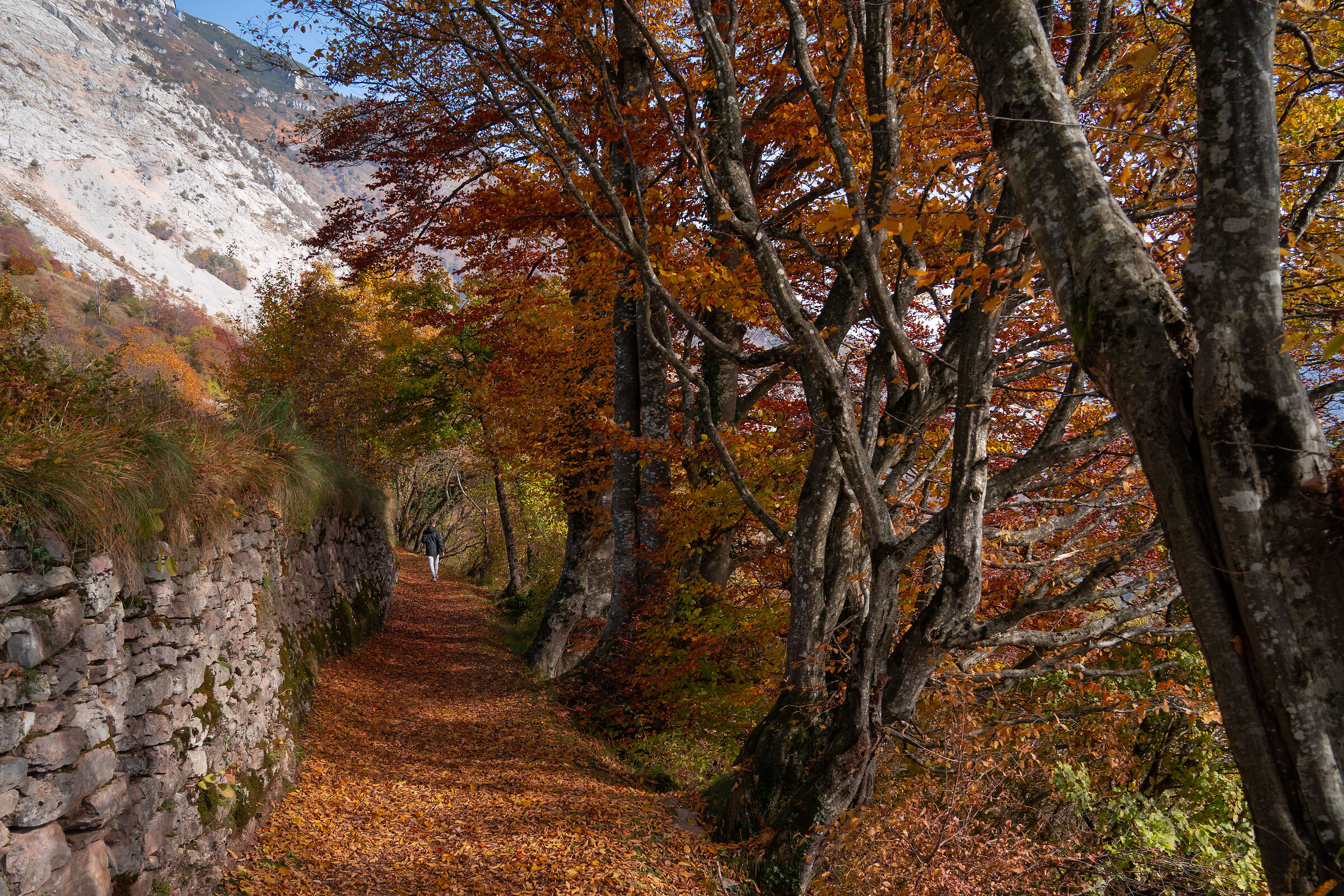 semplici percorsi autunnali
