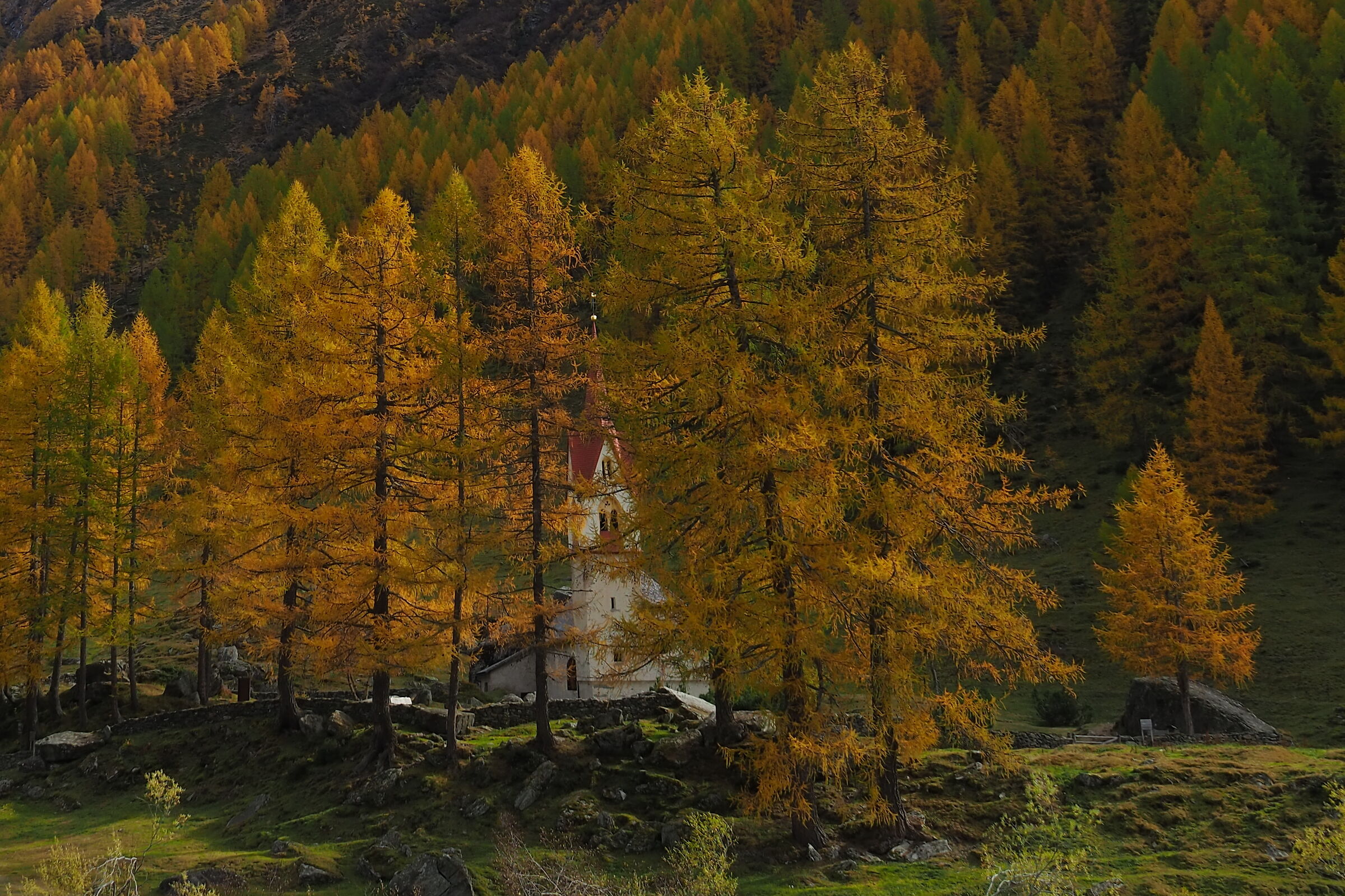 La Diva della Val Aurina