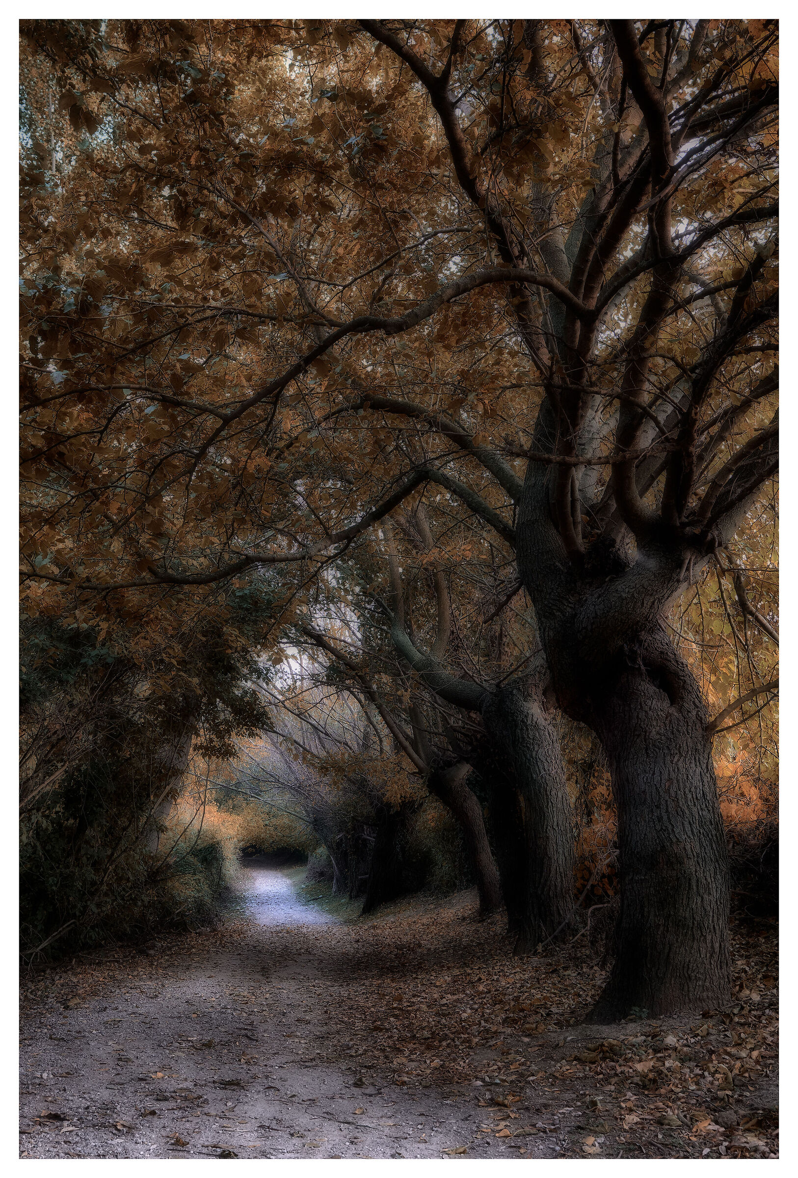 Sentiero autunnale