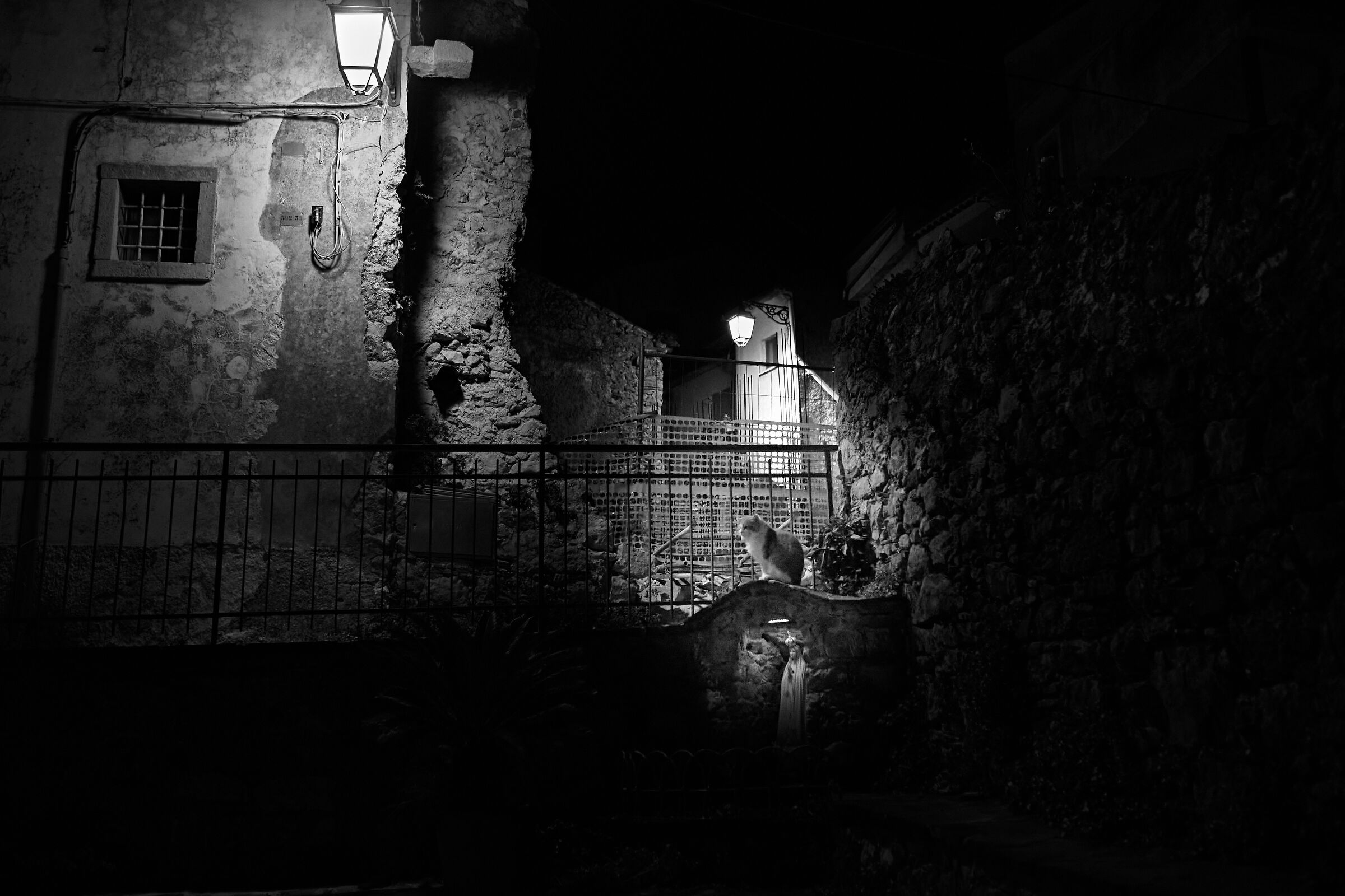 Untitled Photo