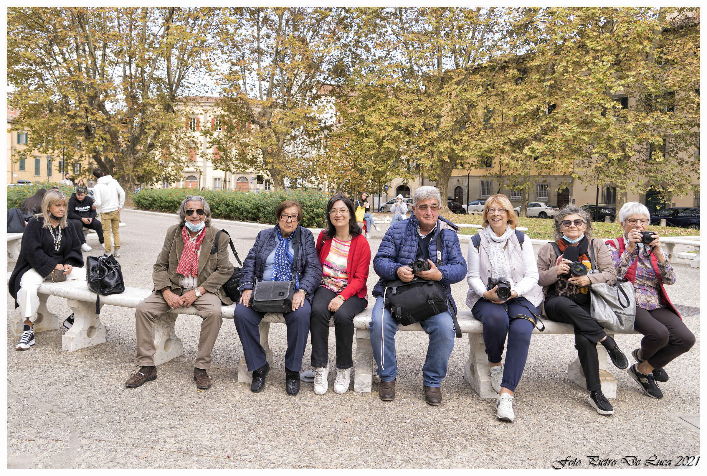 E sullo sfondo i platani e l'autunno