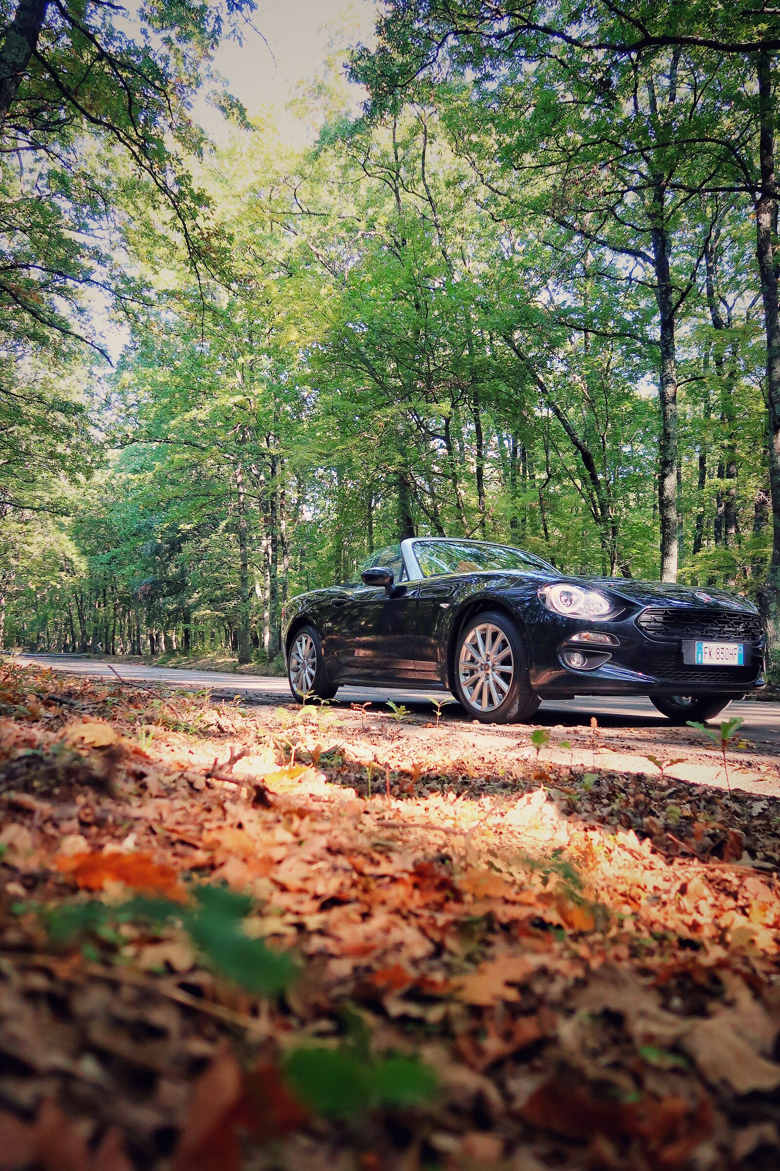 Fiat 124 Spider and autumn!!!