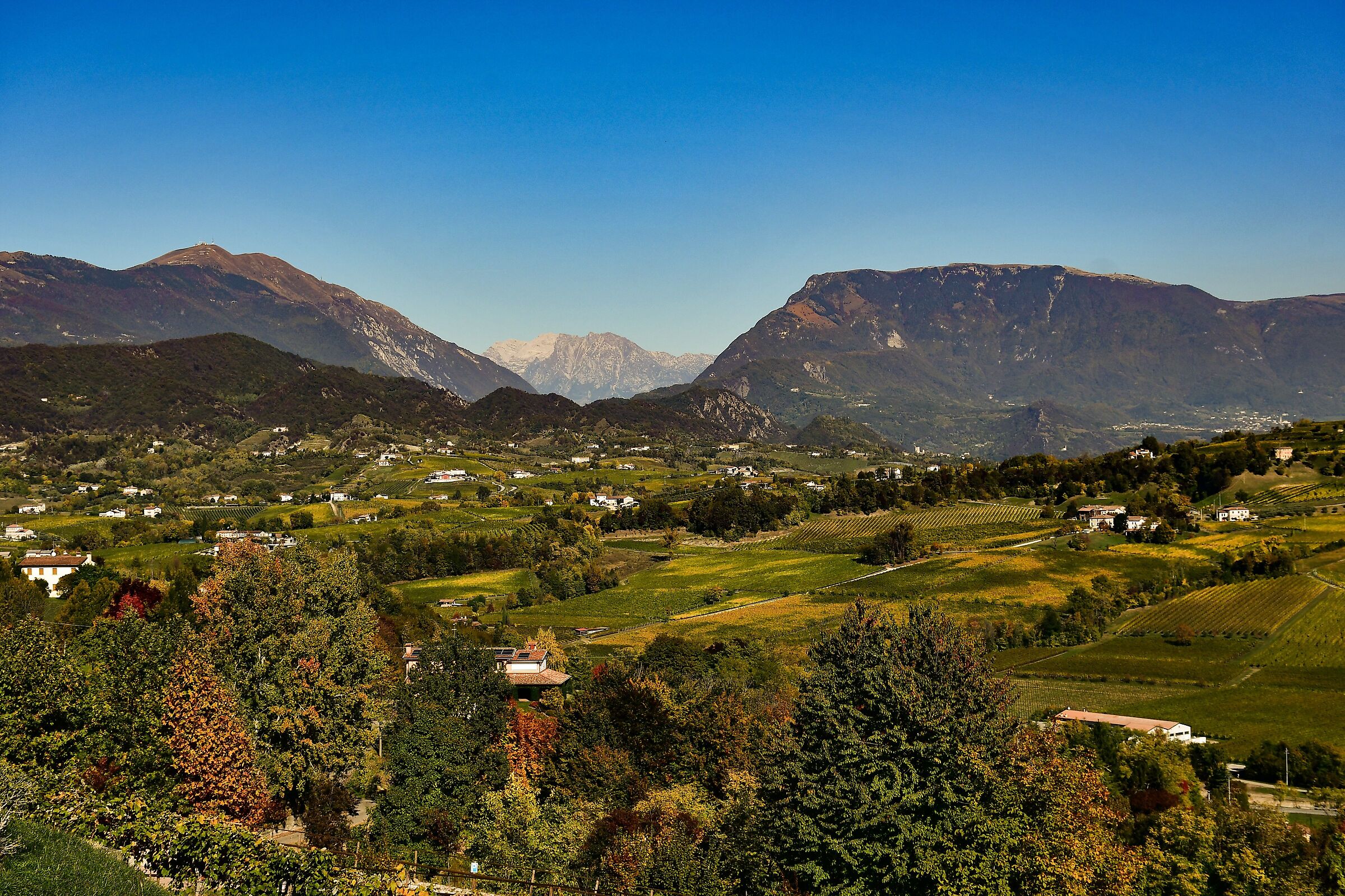 Prosecco hills towards Belluno