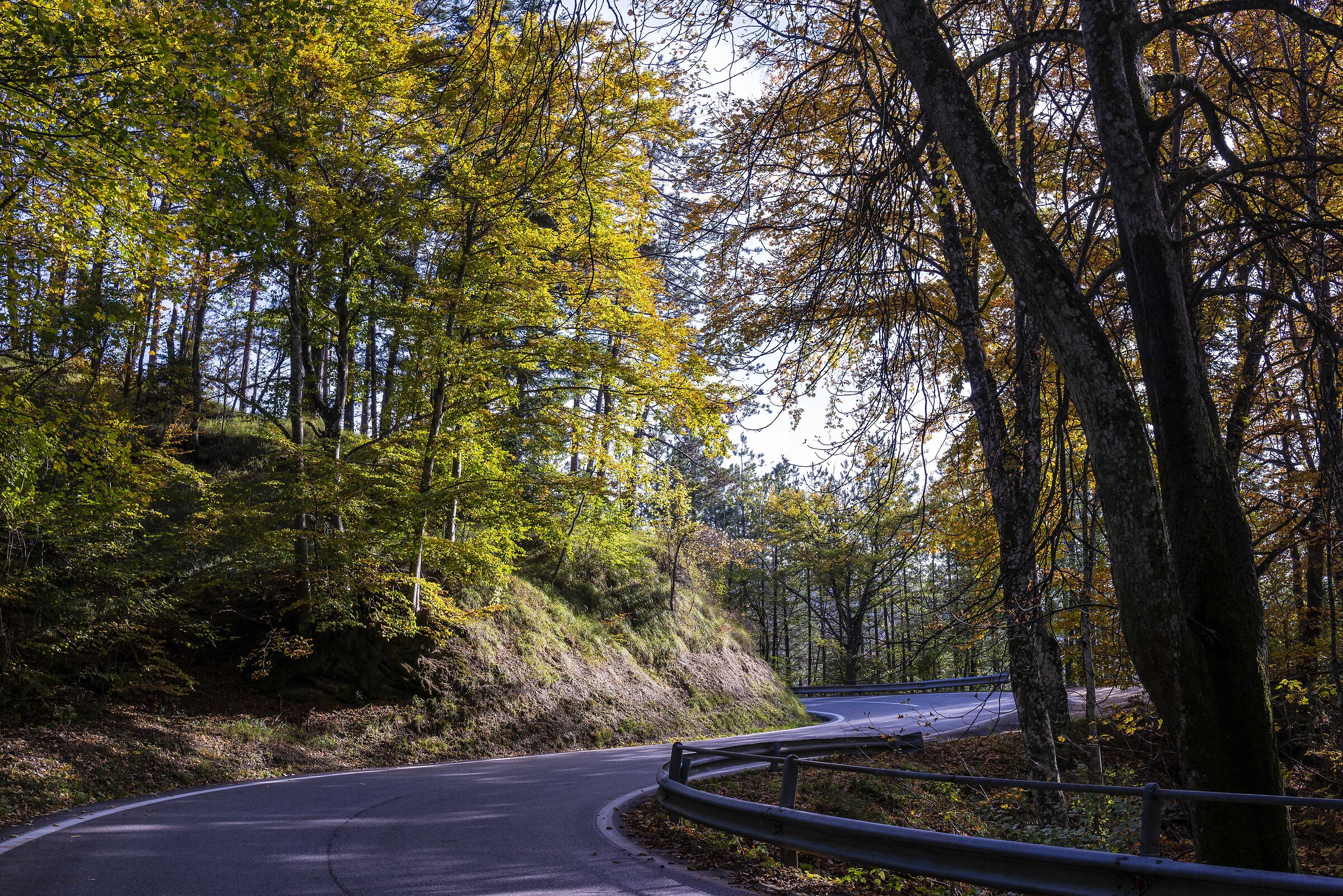 Autumn at the Fonte dell'Alpe
