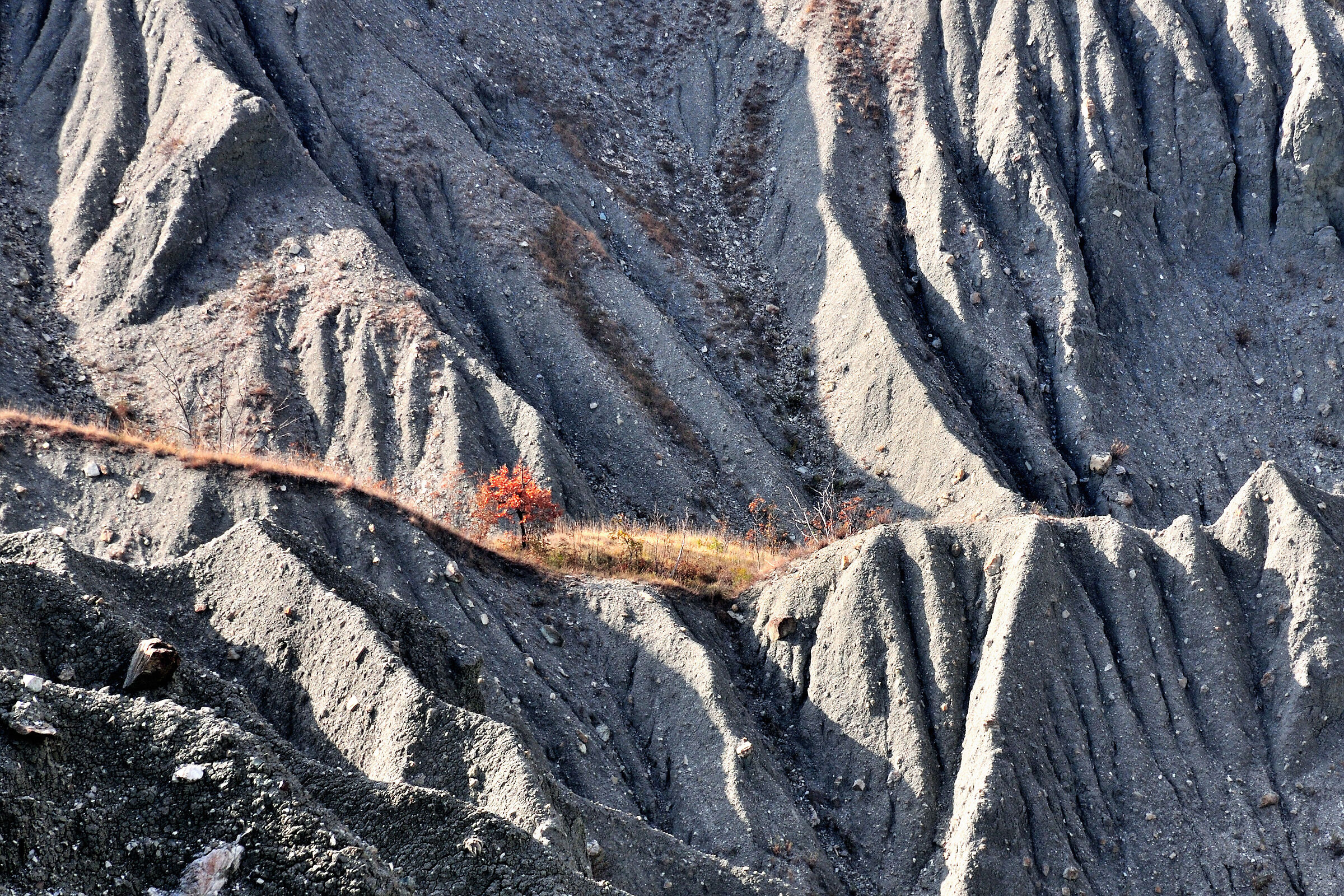 Among the gullies of Canossa