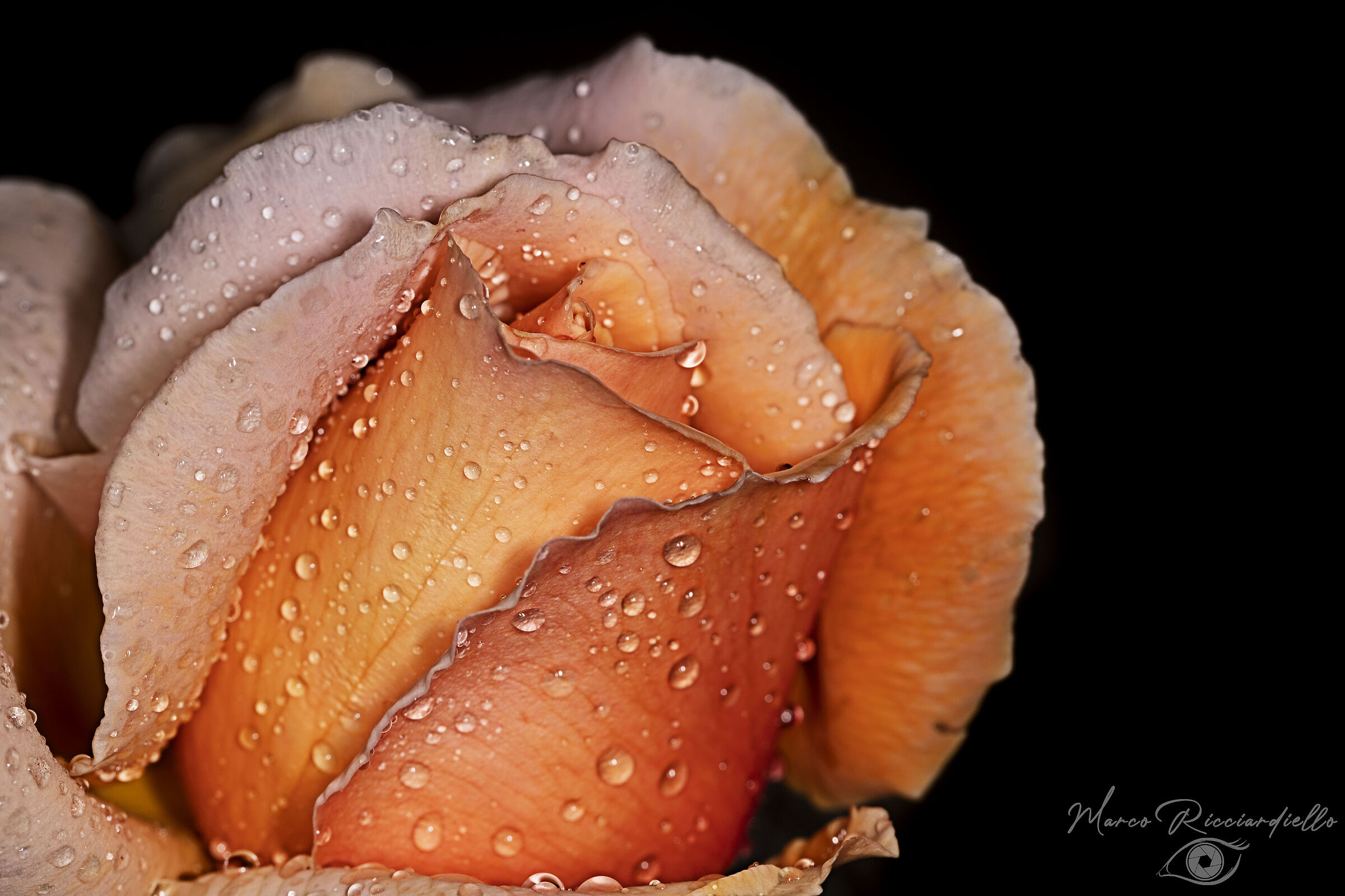 After the rain