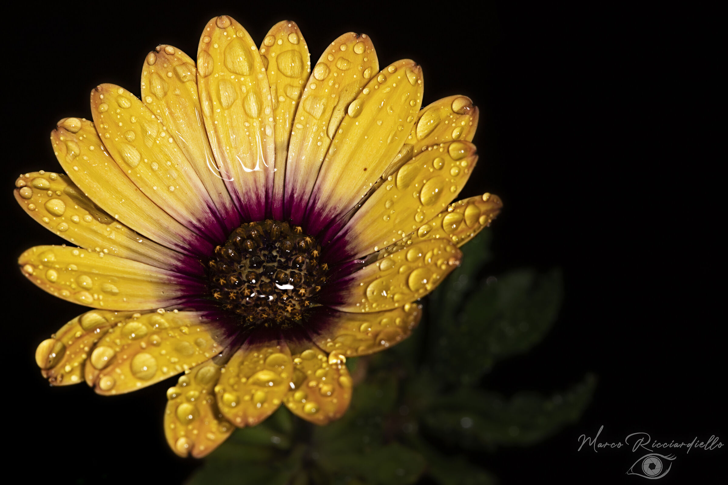 Autumn rains