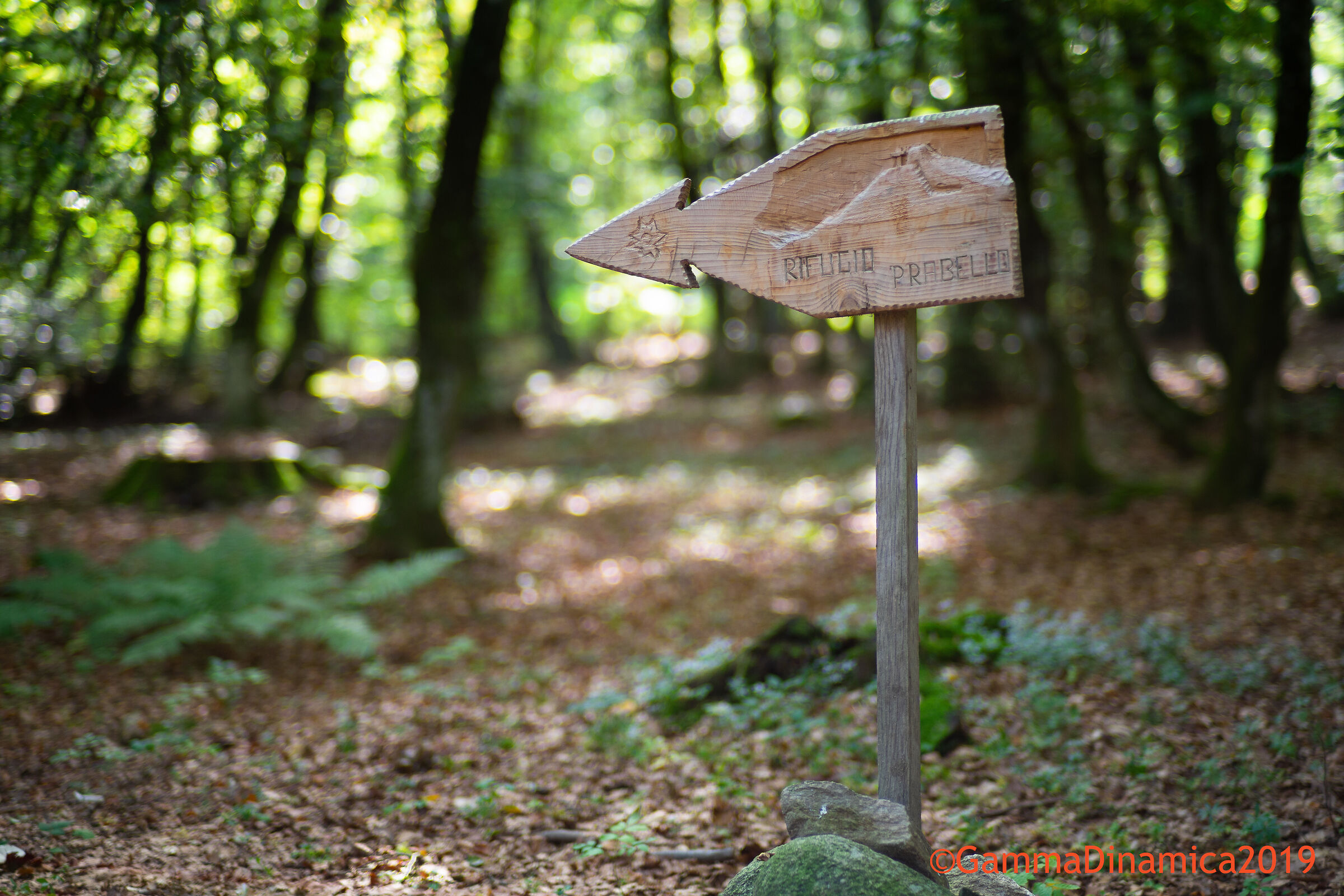 In order not to lose the road...