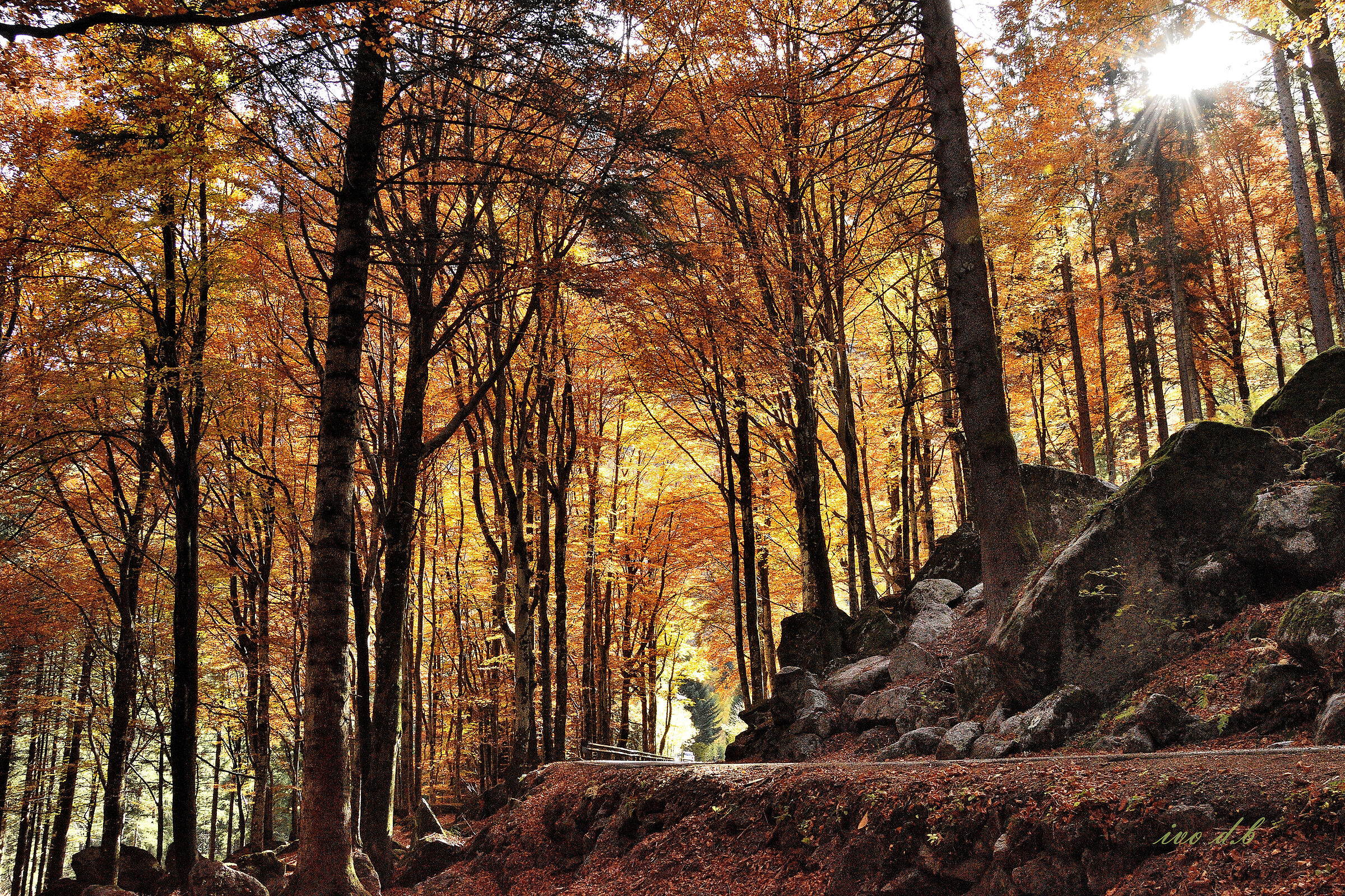 colore ......val Masino