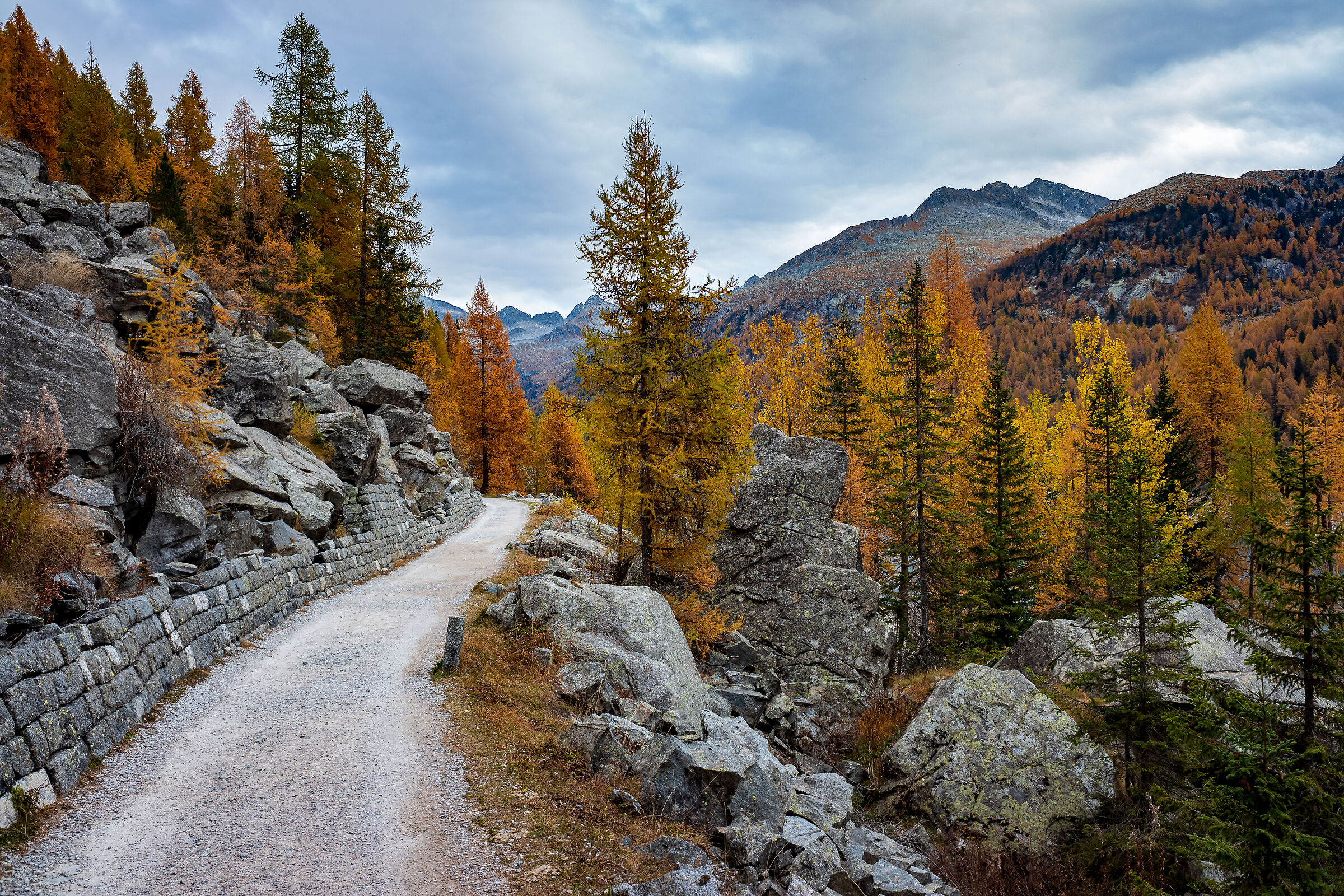 I colori dell'autunno in Val di Fumo