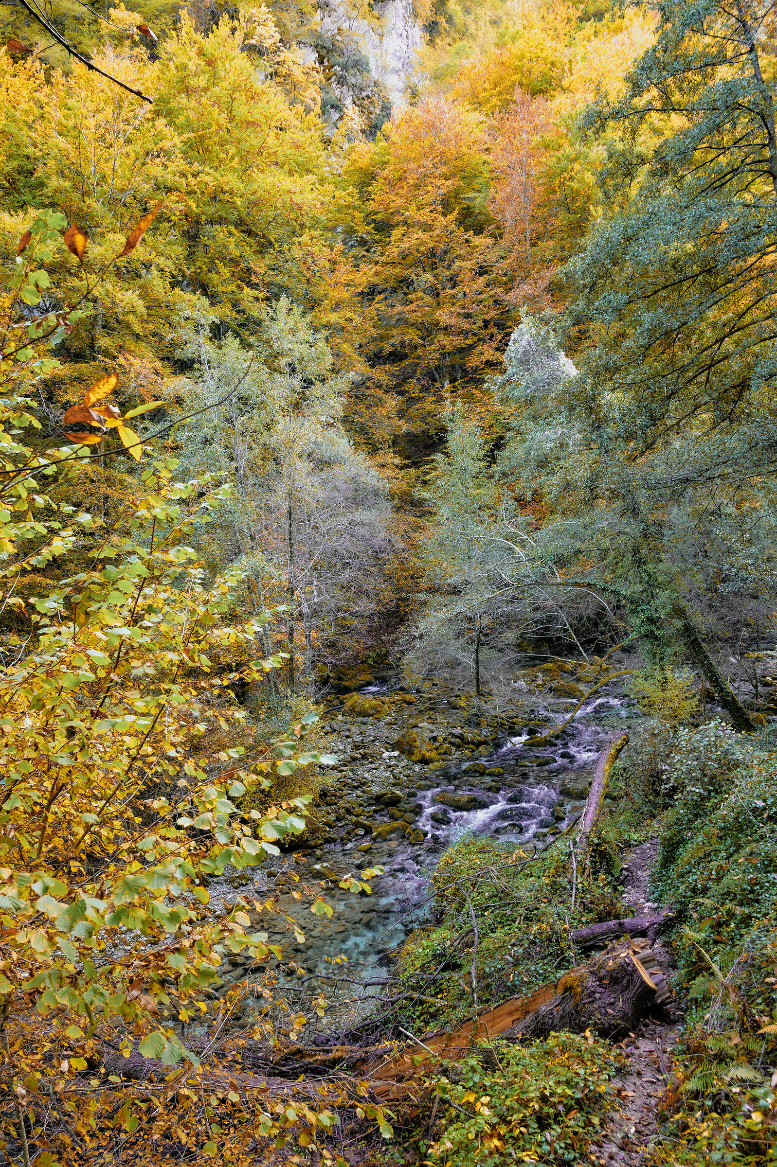 I colori della Garfagnana