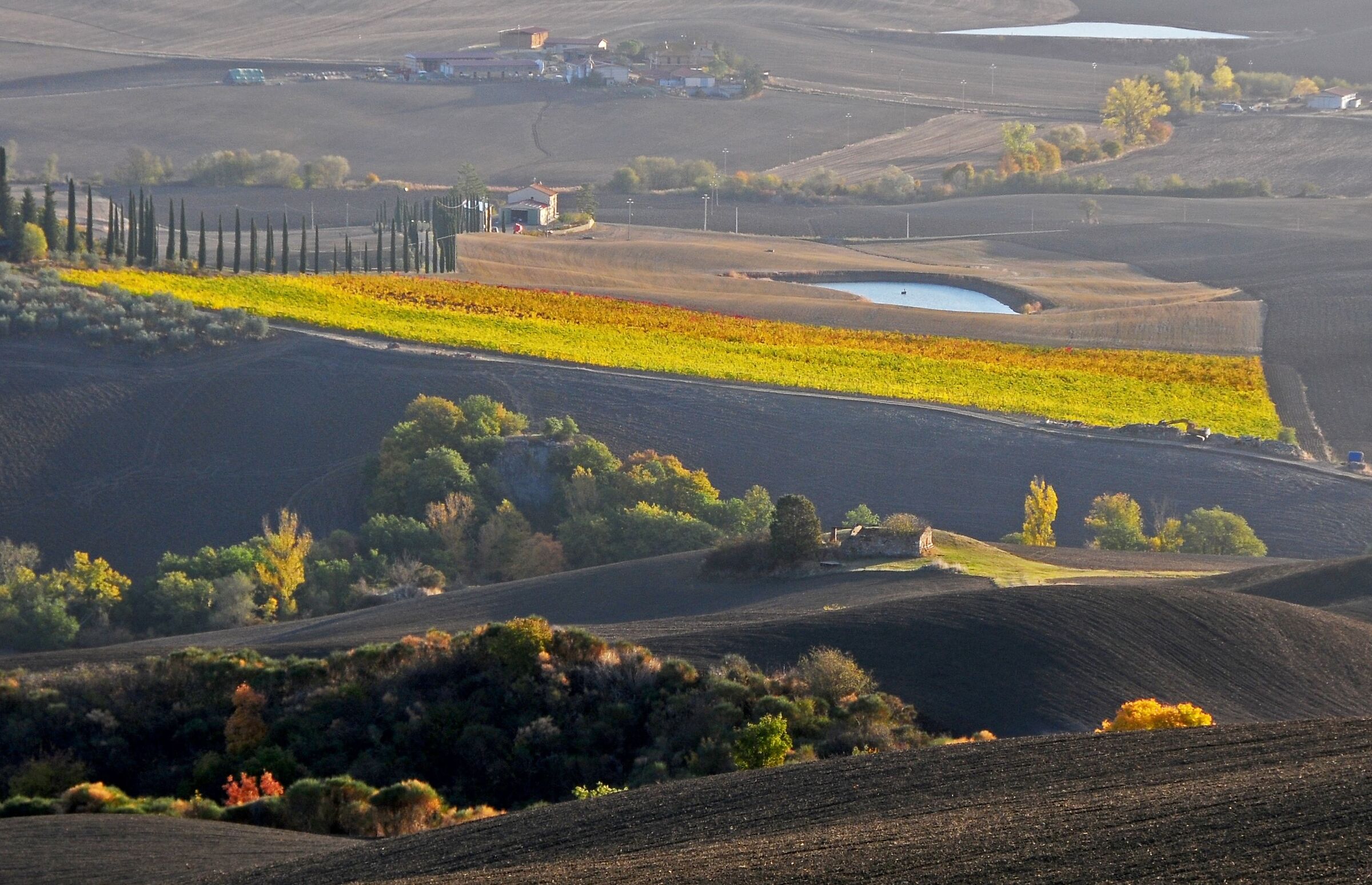 sunrise in Val d'Orcia