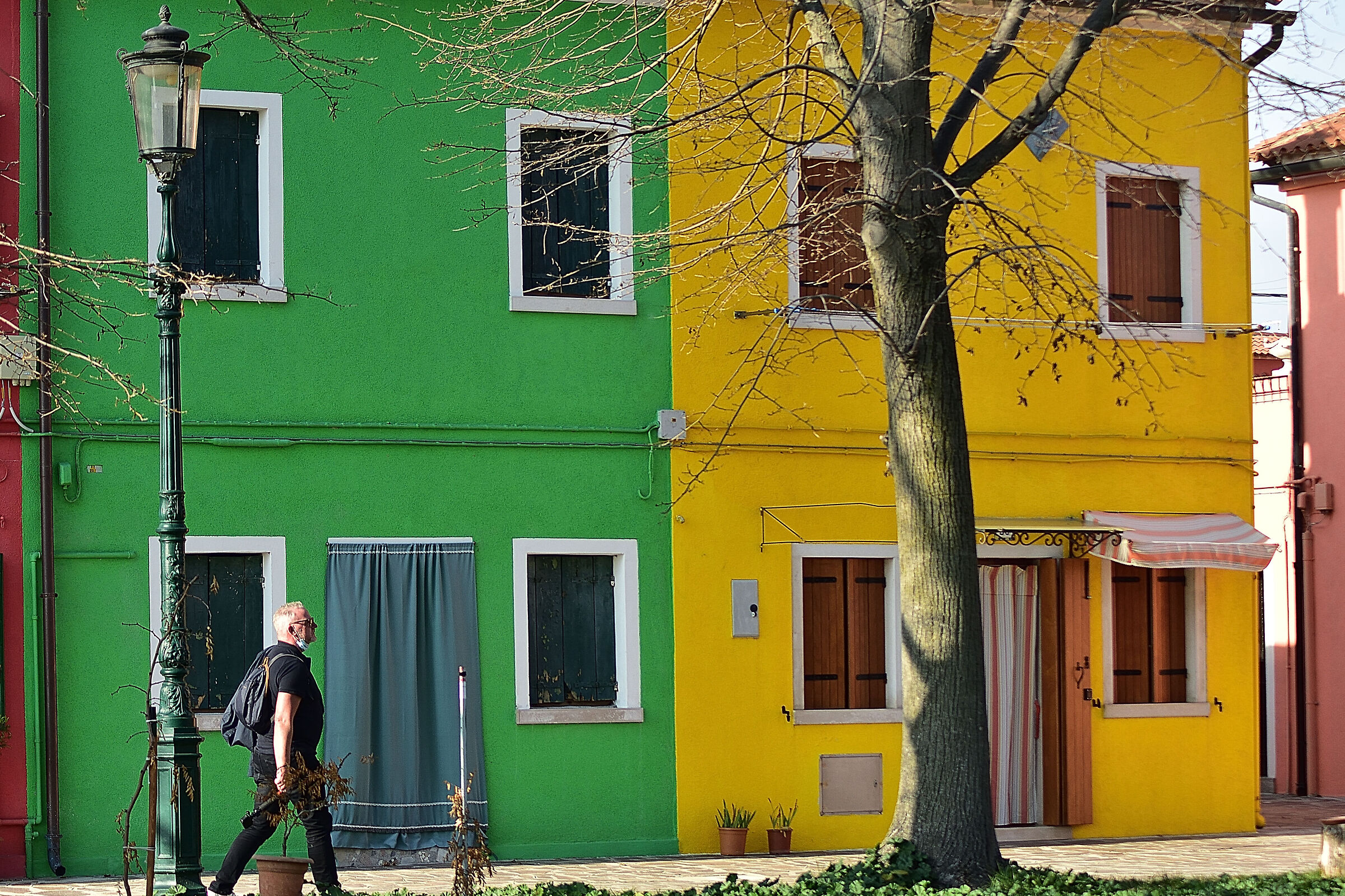 walking through the colors