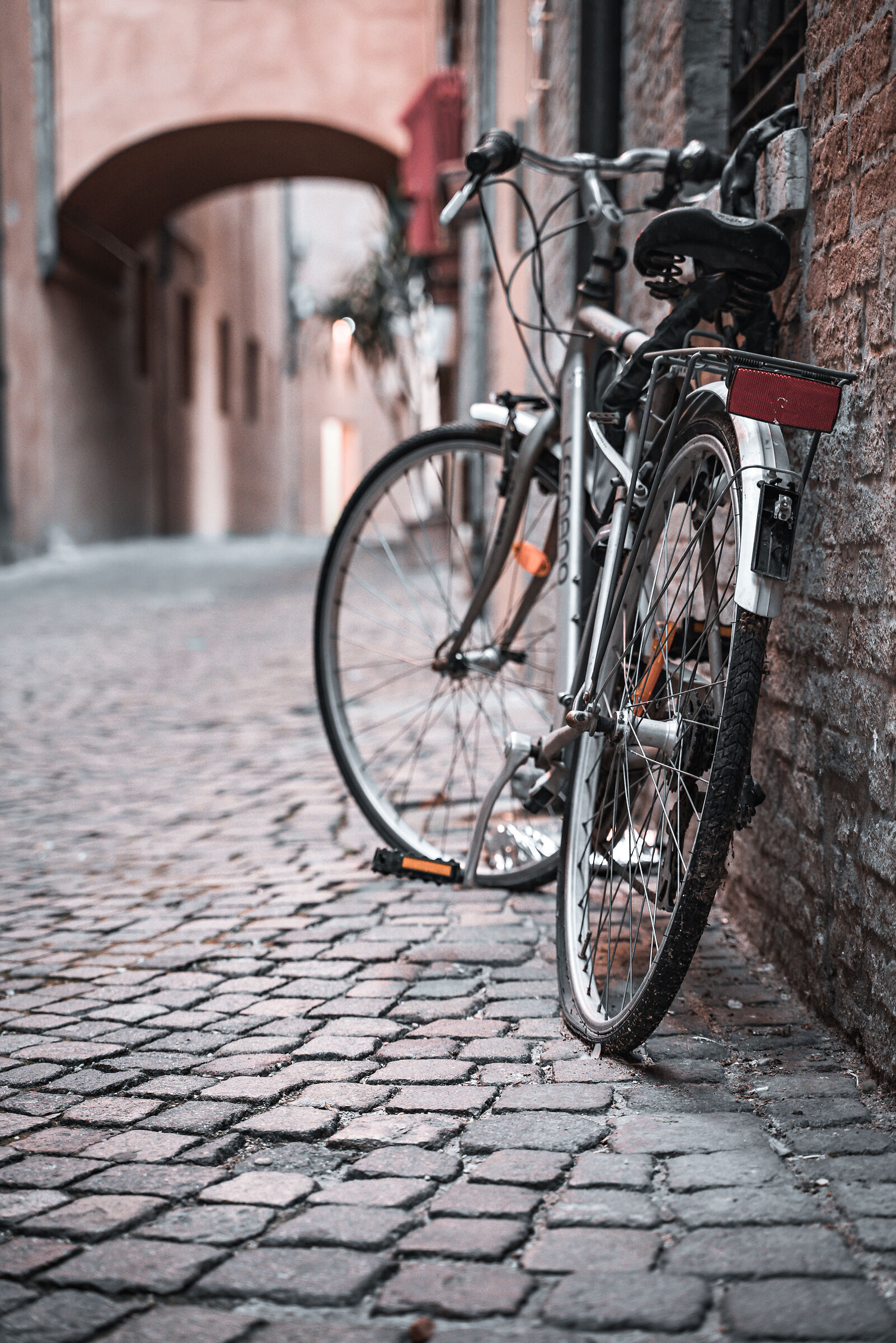 Bicicletta