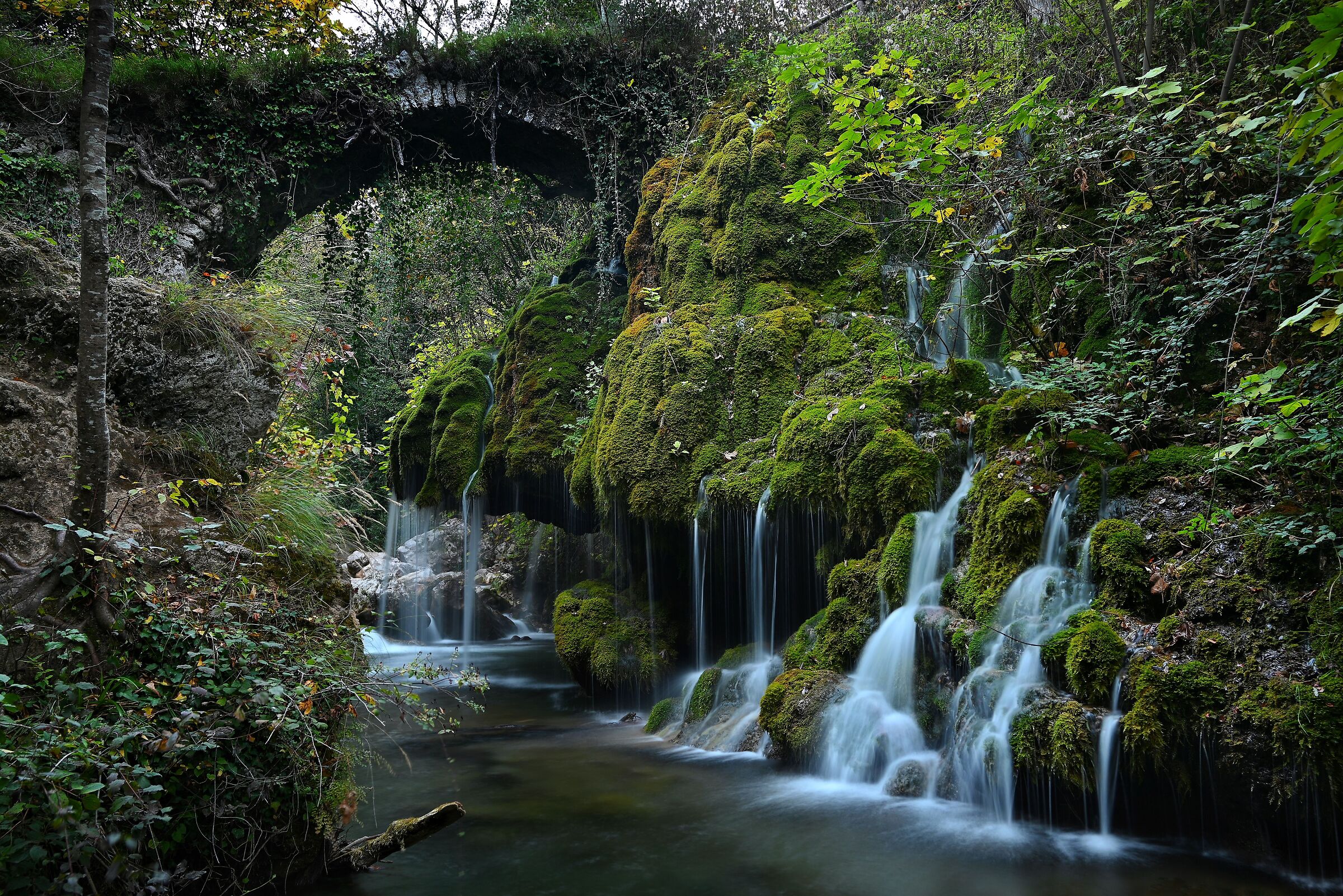Capelli di Venere - Oasi WWF - Casaletto Spartano