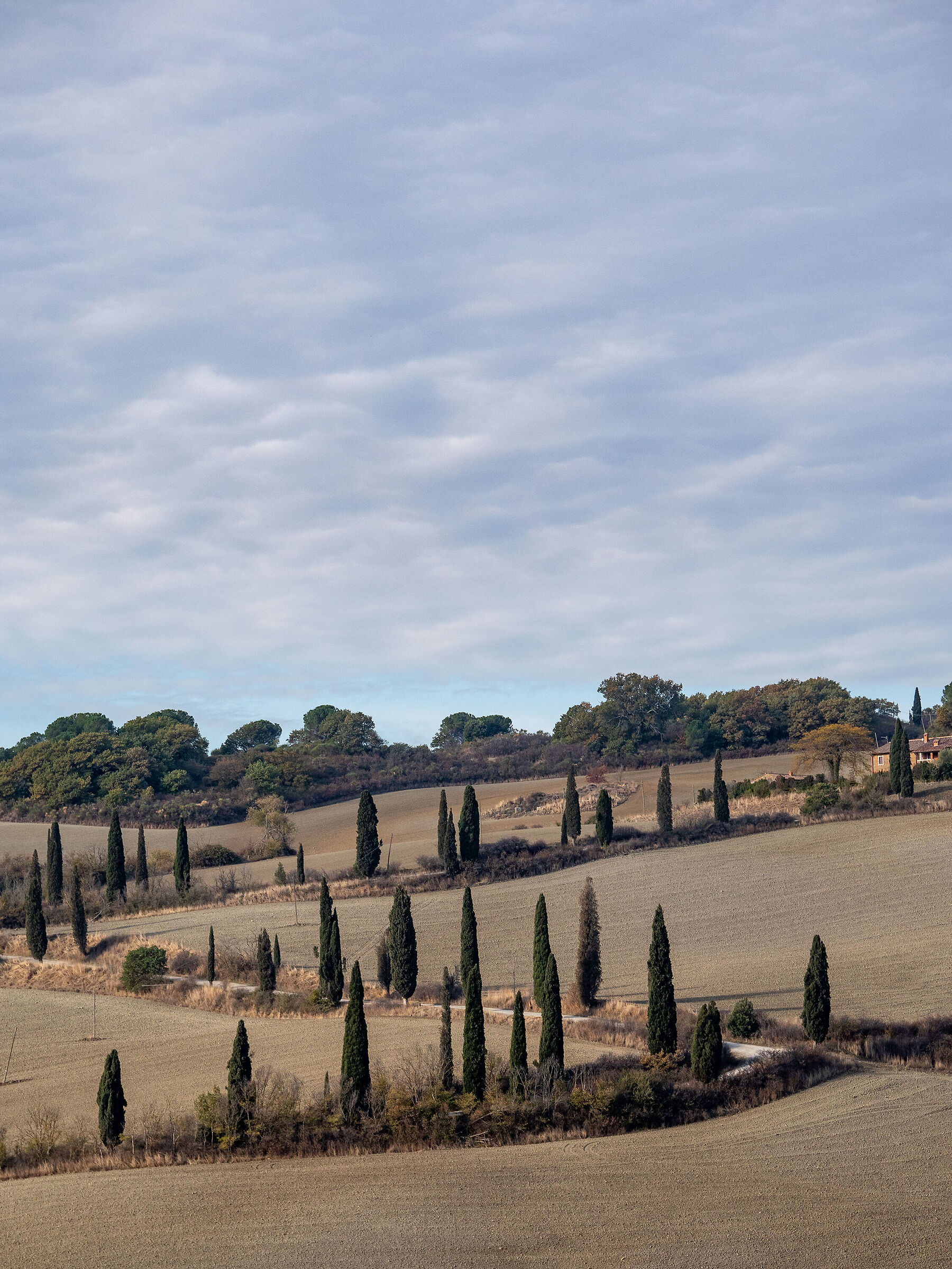 Orcia Valley