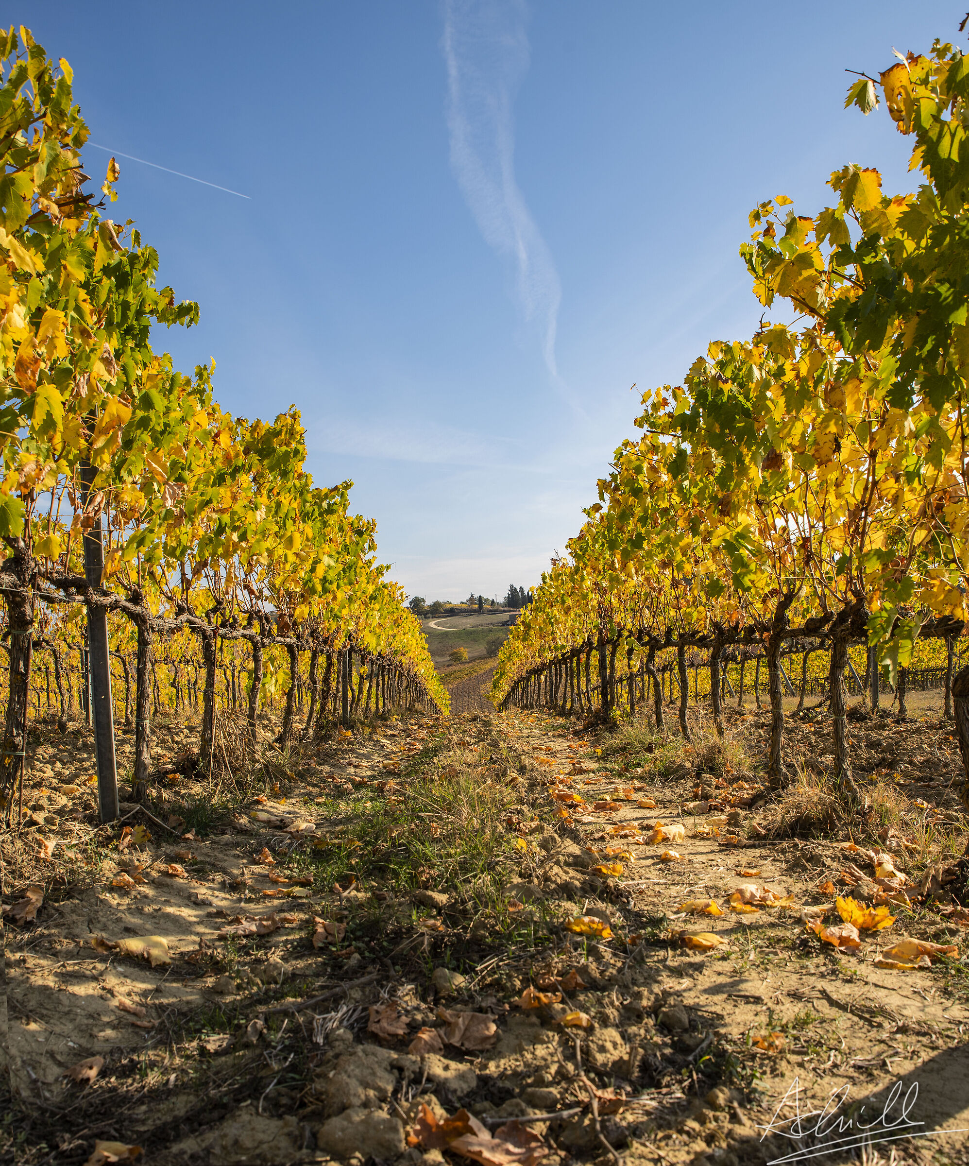 Autunno in Val d'Elsa