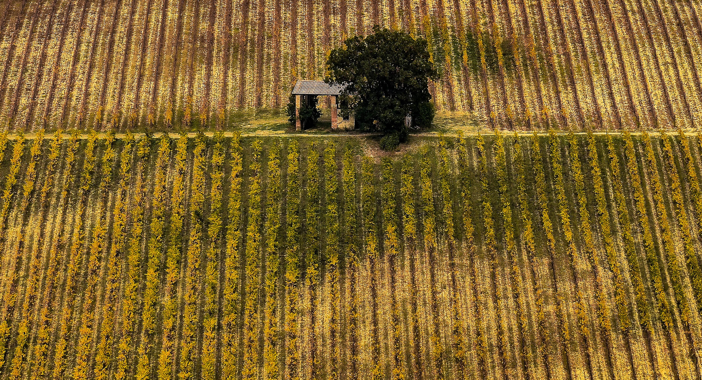 Geometrie - Oltreposhire