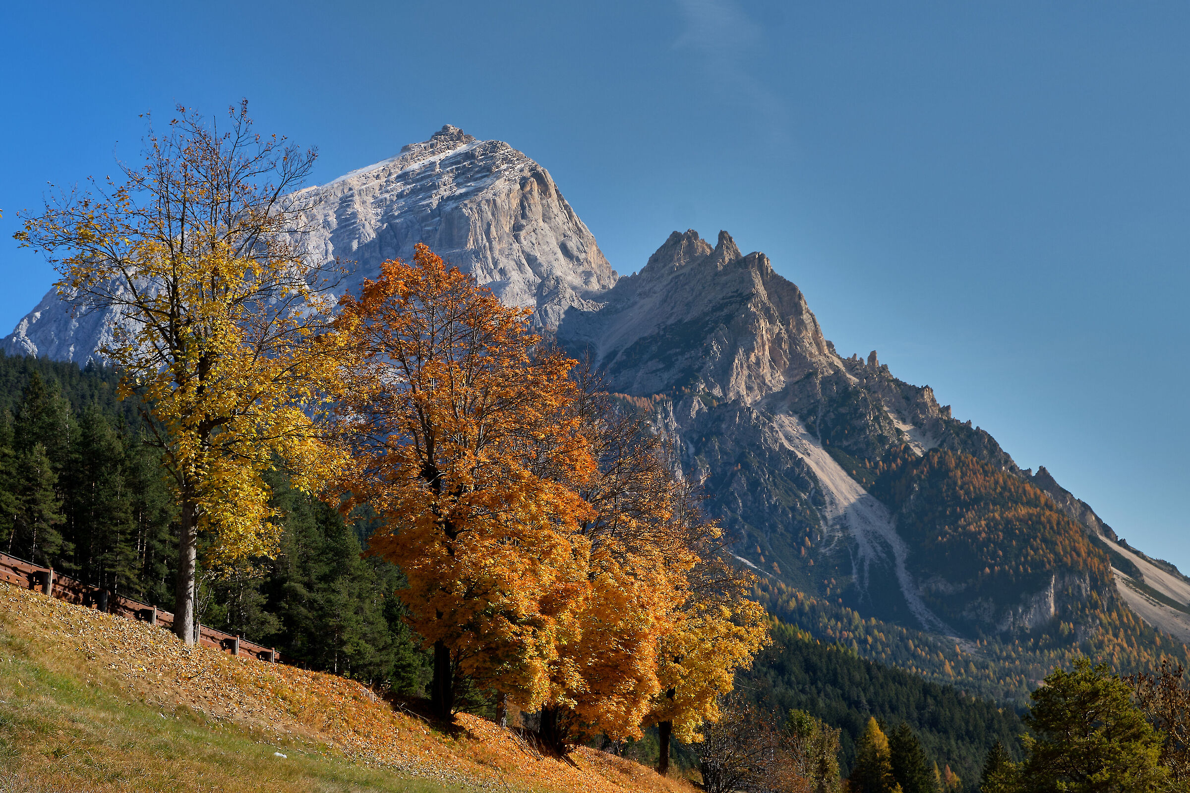 The Antelao of autumn