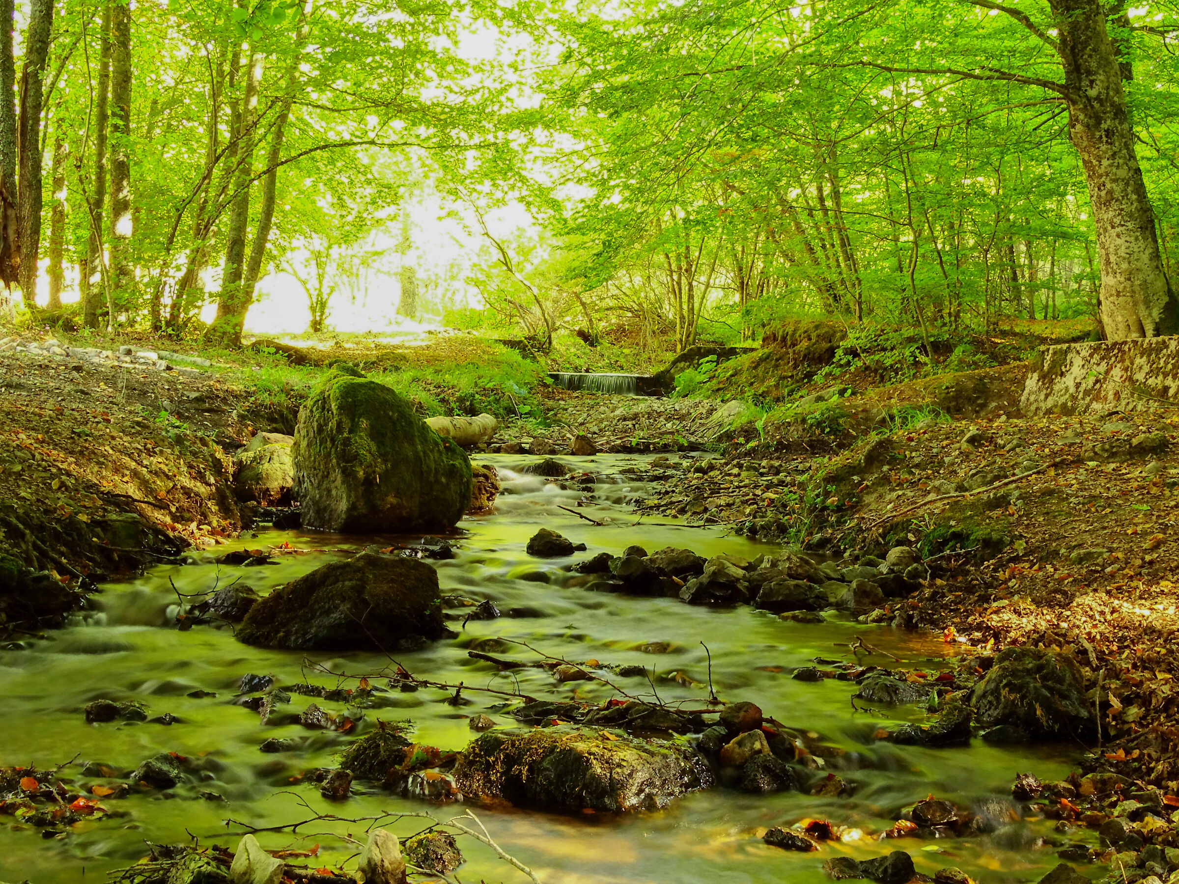 Rock stream of castalda