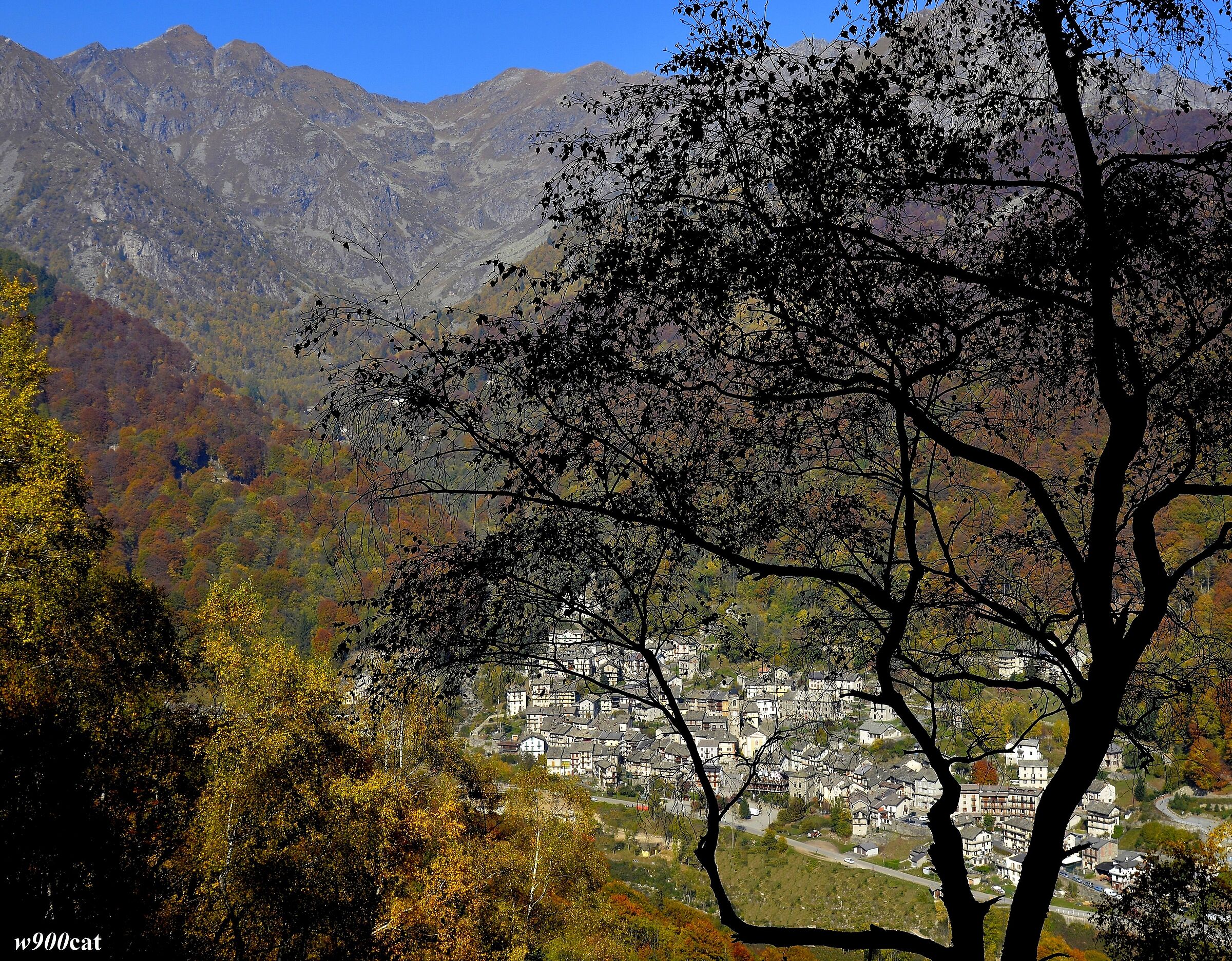 Autumn shadows and lights