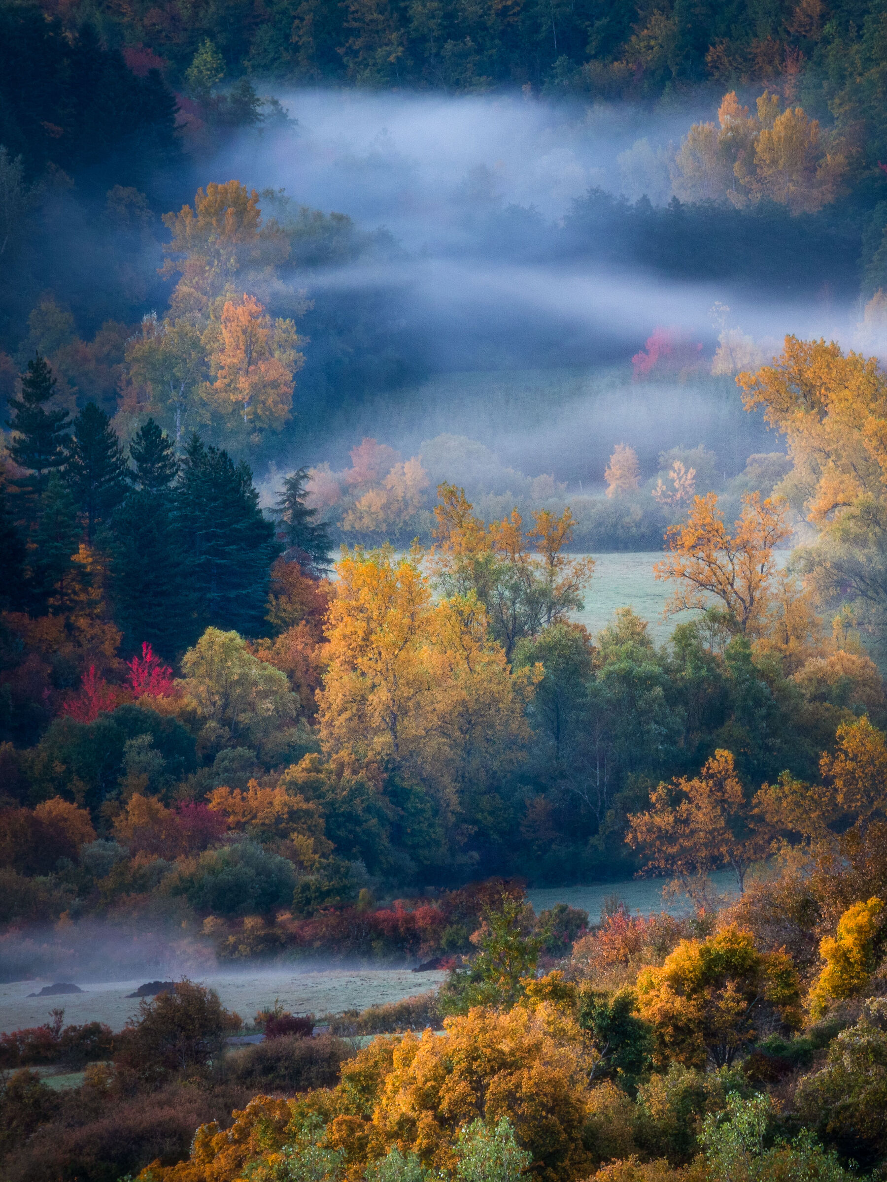Autumn in Casentino II