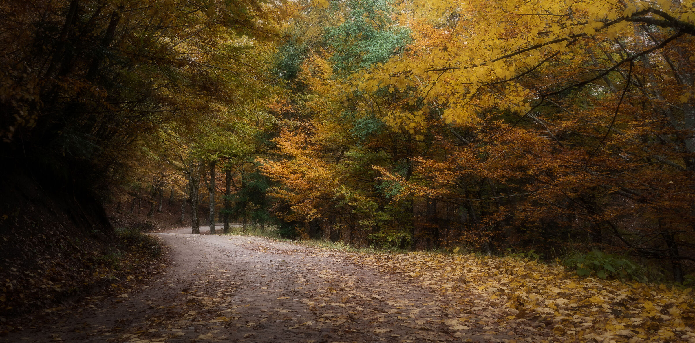 Autumn in Casentino VII