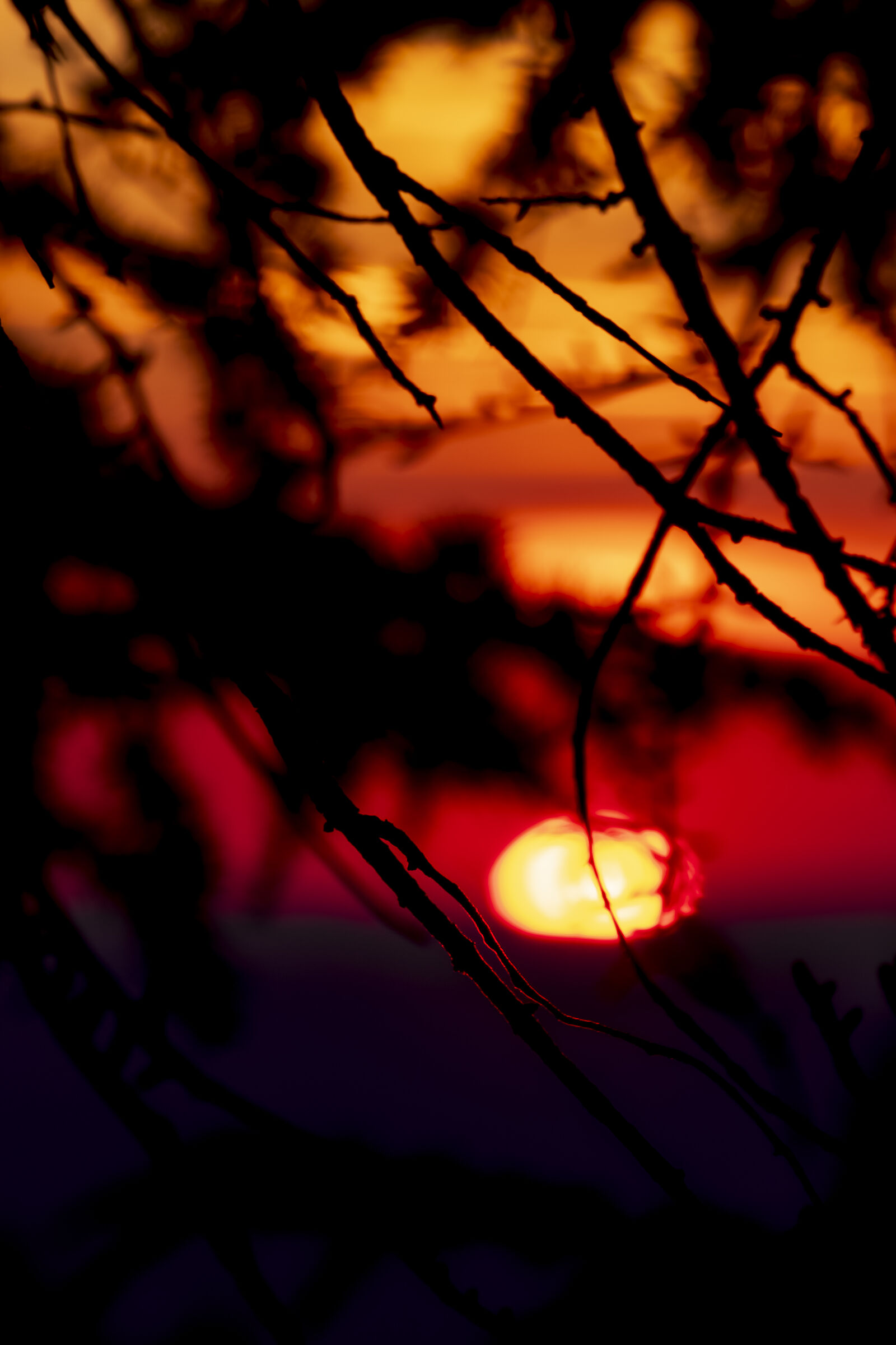 Salutando un'altro giorno