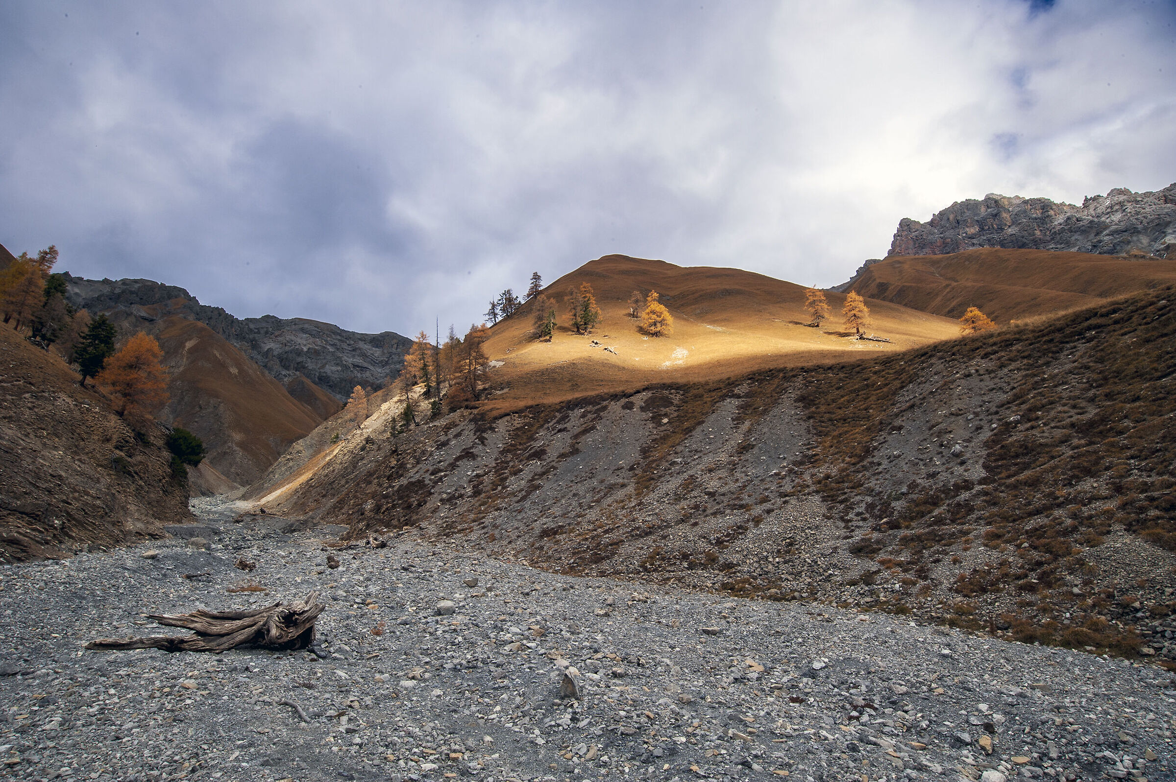 Trupchun Valley