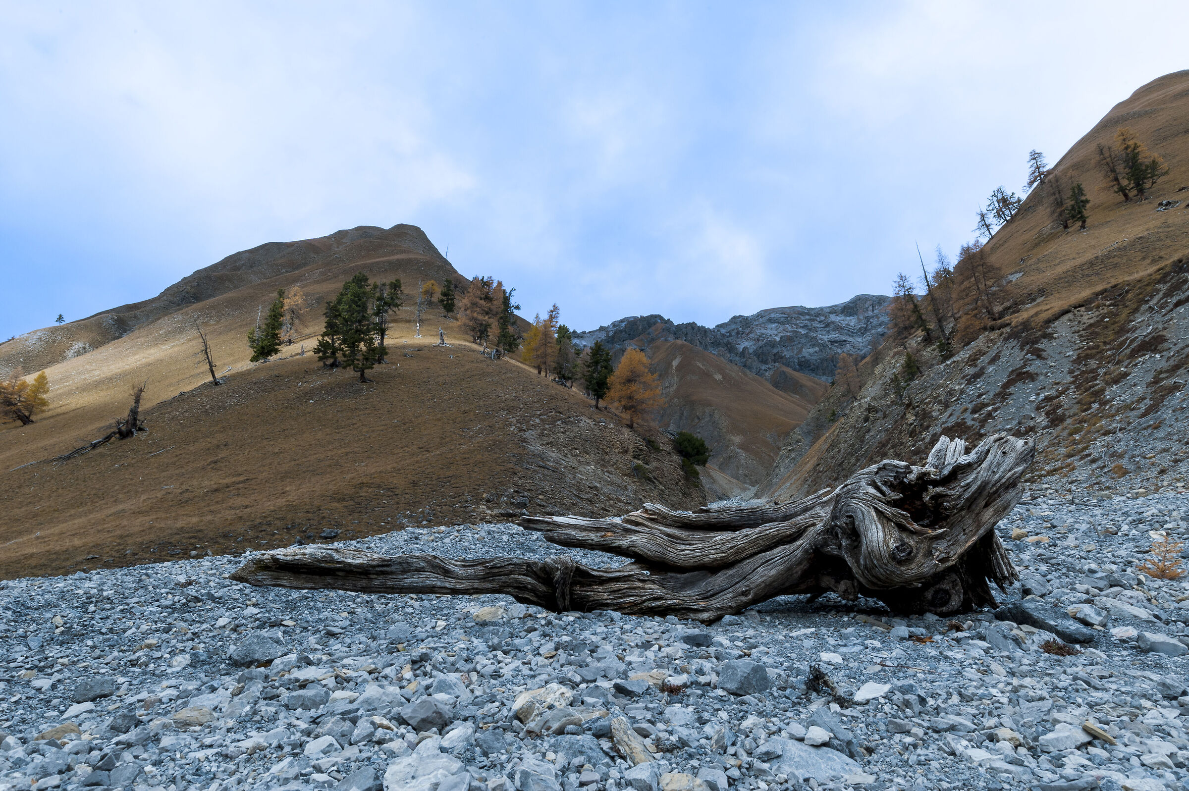 Trupchun Valley