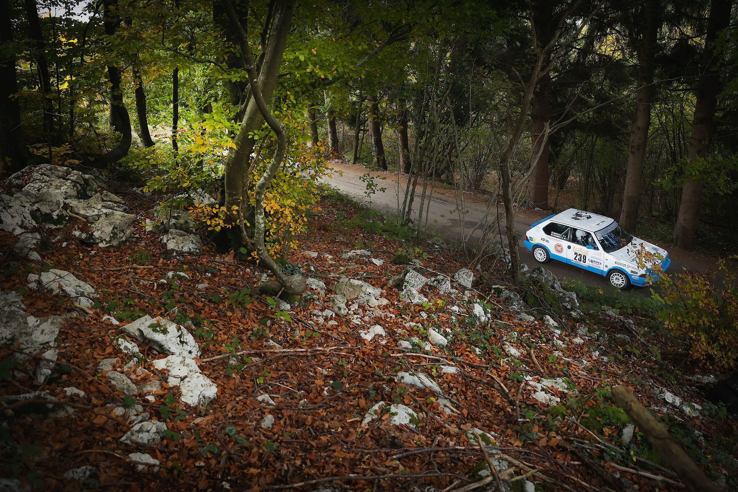Rally Bassano