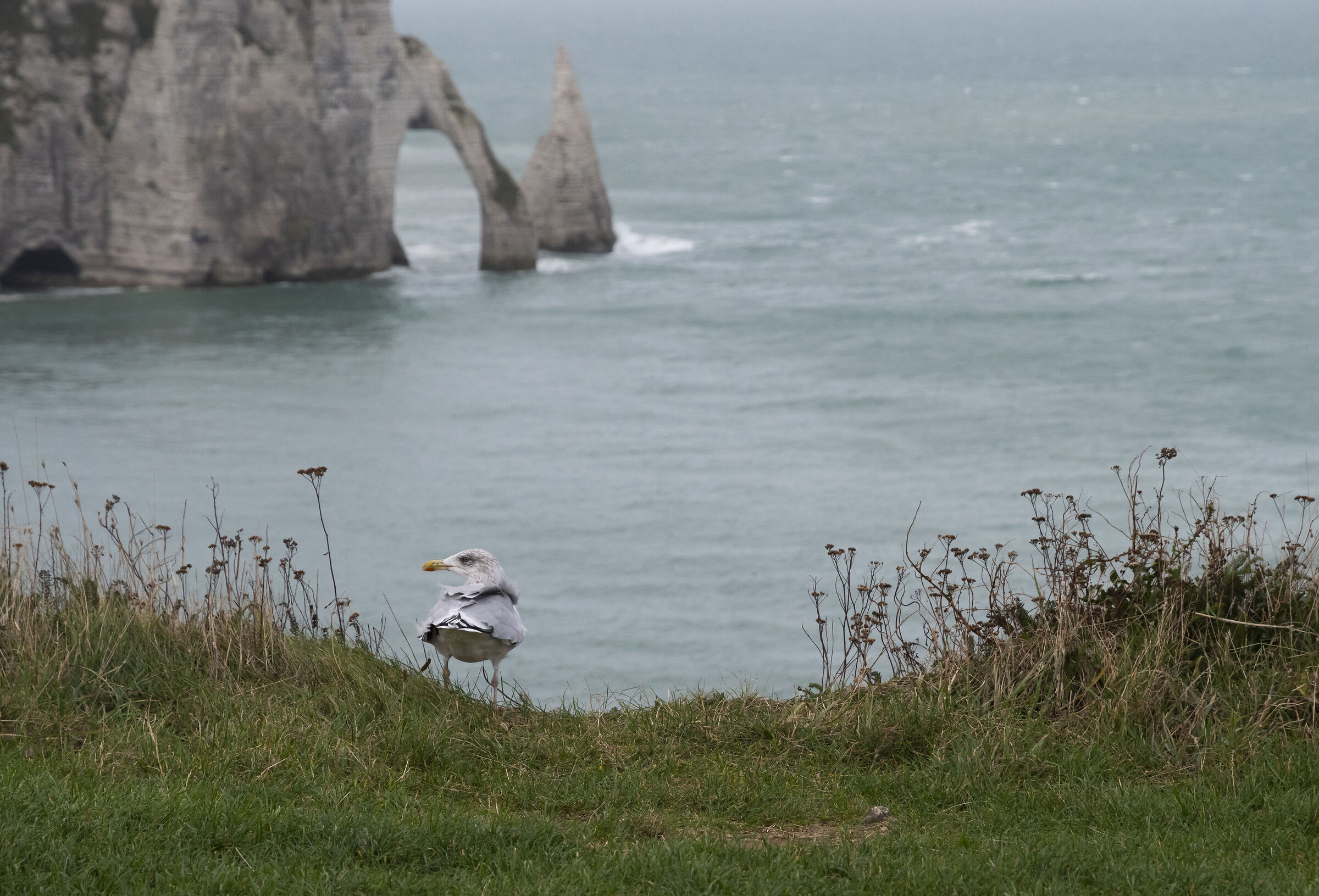 Sulla pista di decollo