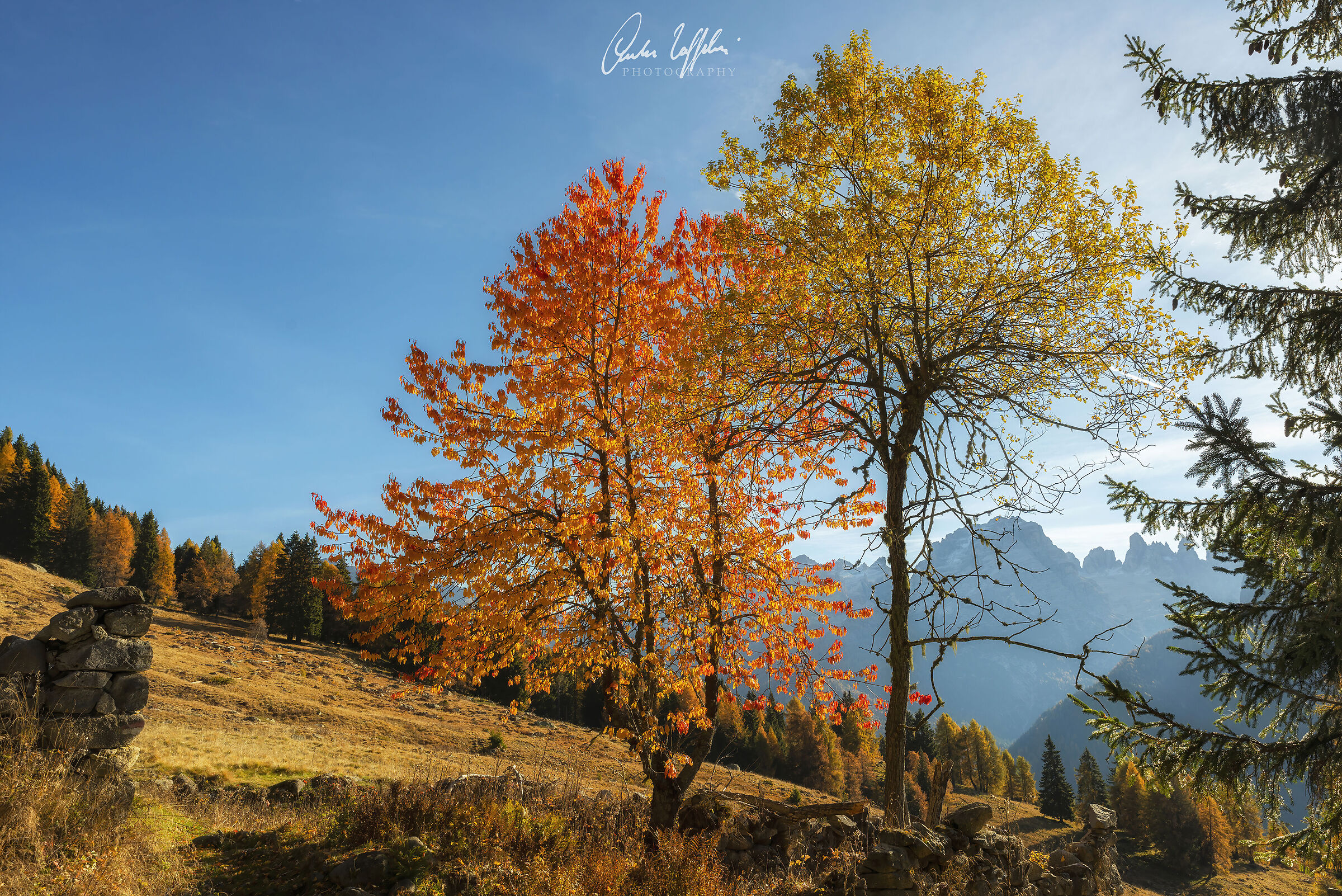 Autumn on the Brenta