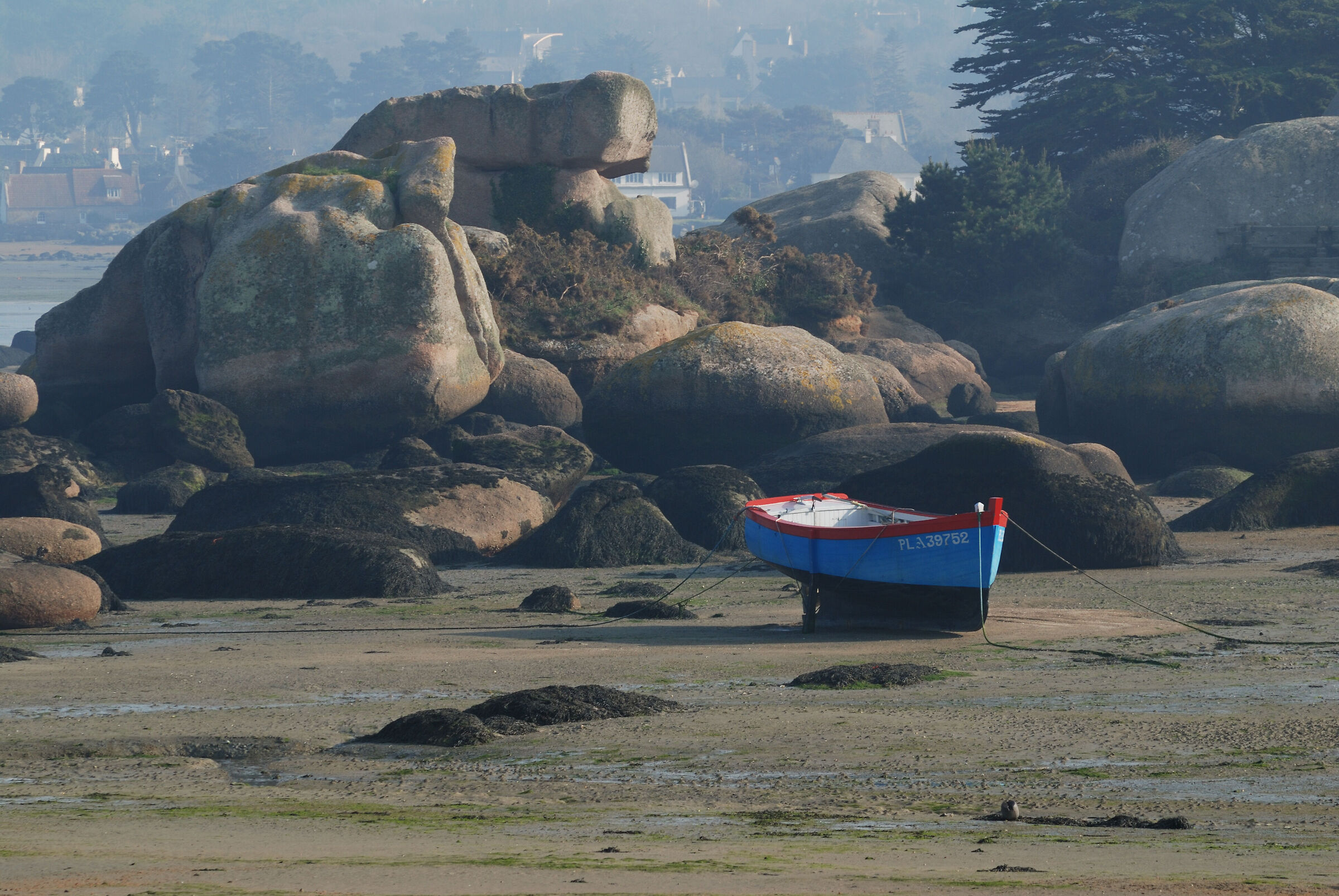 Low tide in Perros Guirec, Brittany