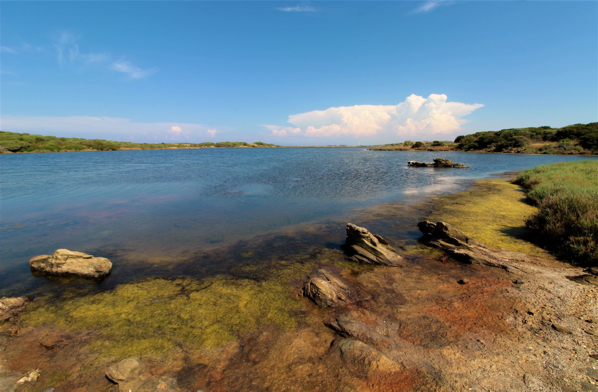 I colori dello stagno