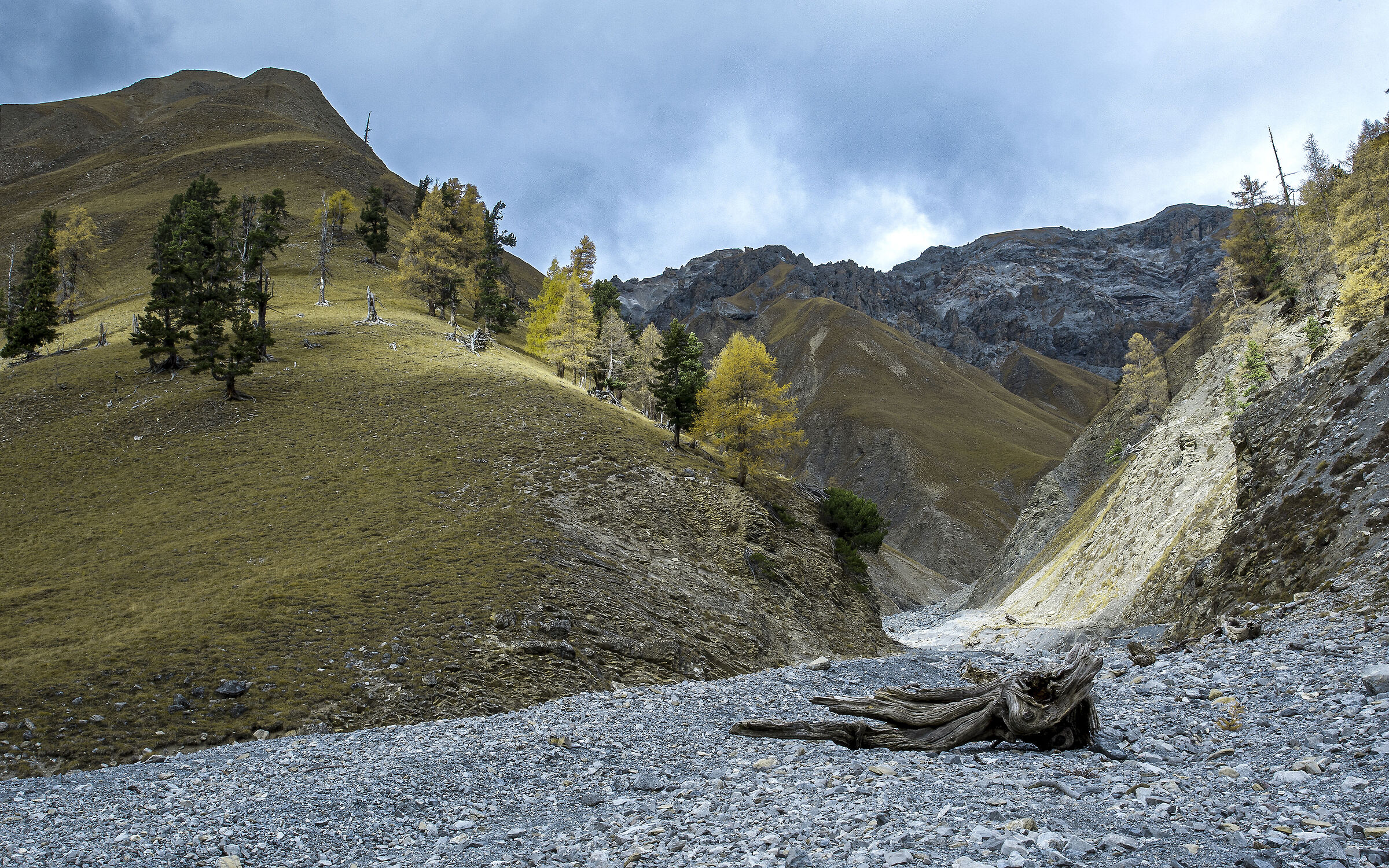 Engadine