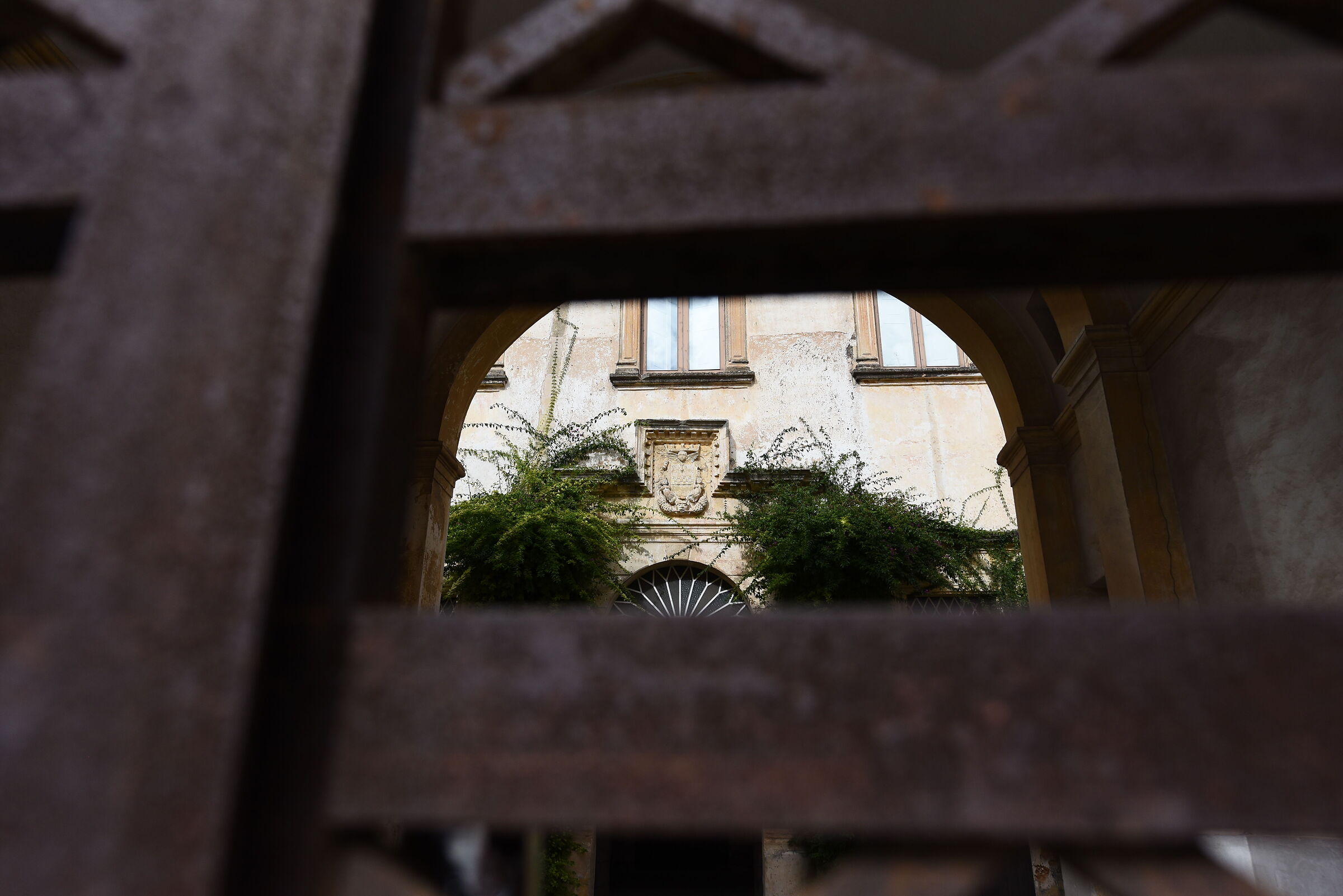 Nikon 750 / Zeiss Otus 28, 1.4