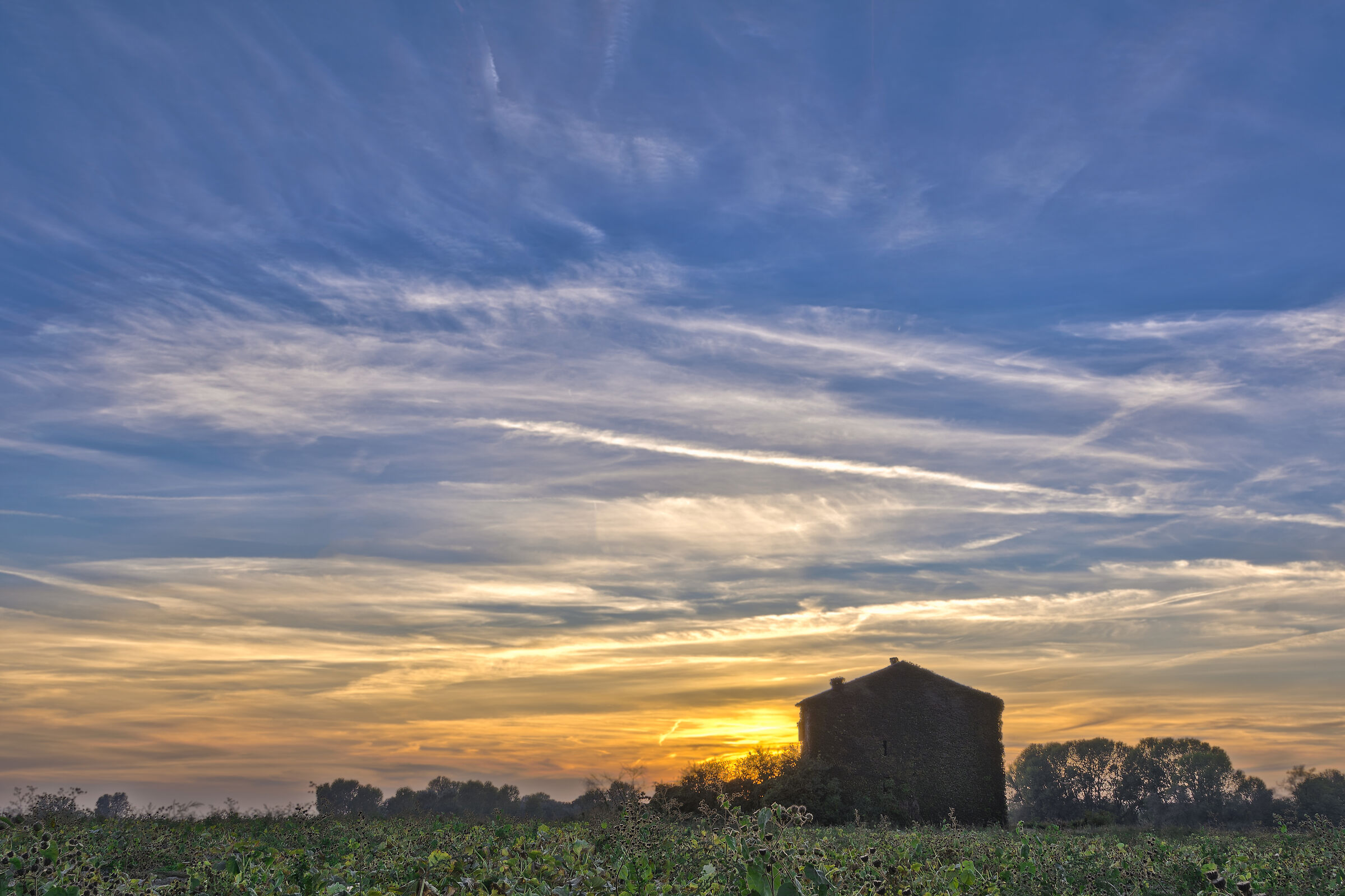 SUNSET IN THE LOWER REGGIANA