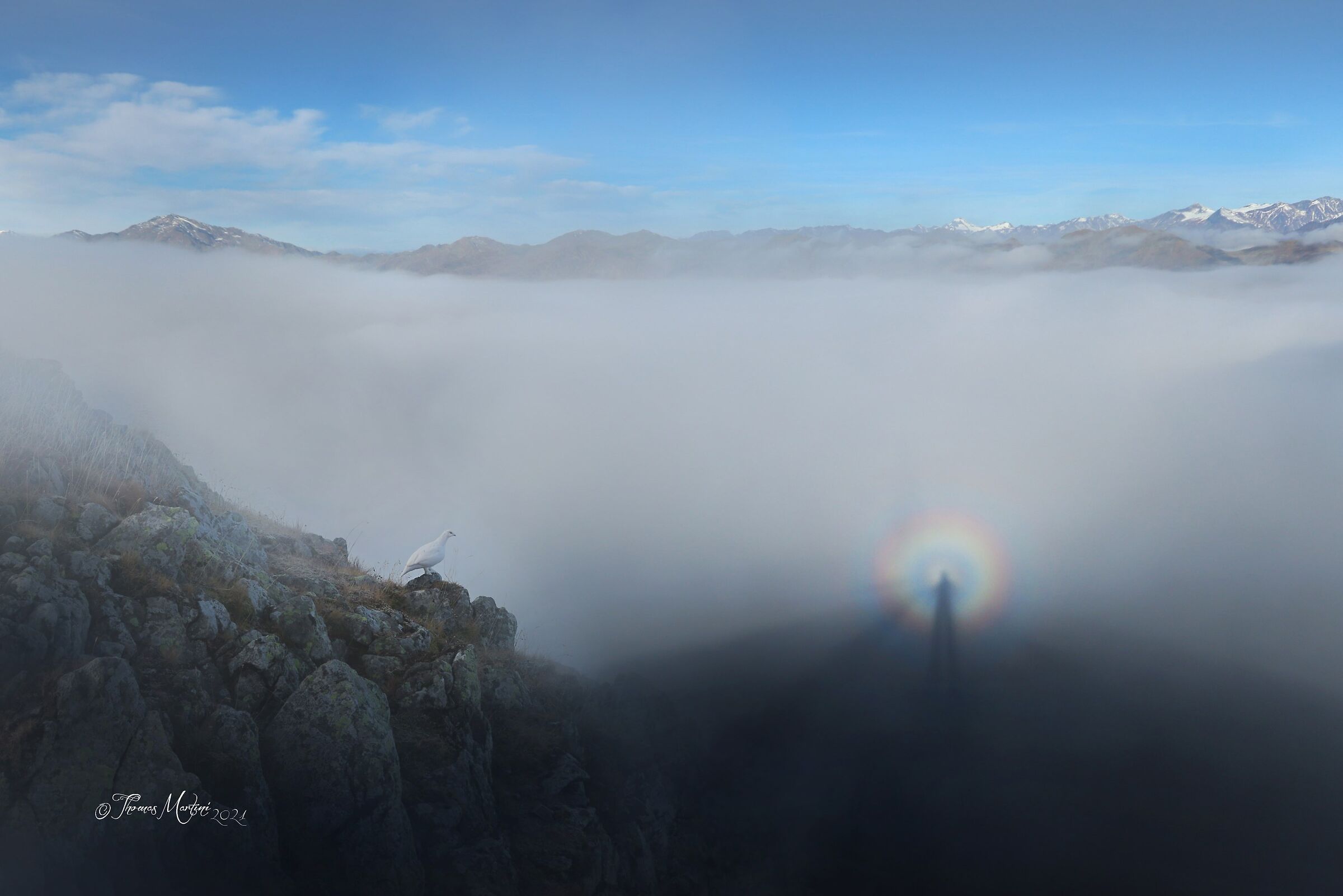 La Pernice e lo Spettro