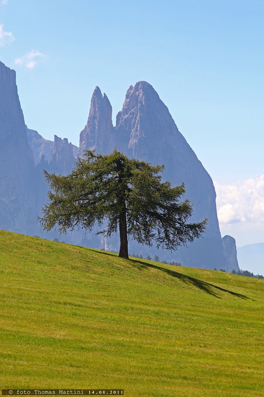 Alpe di Siusi
