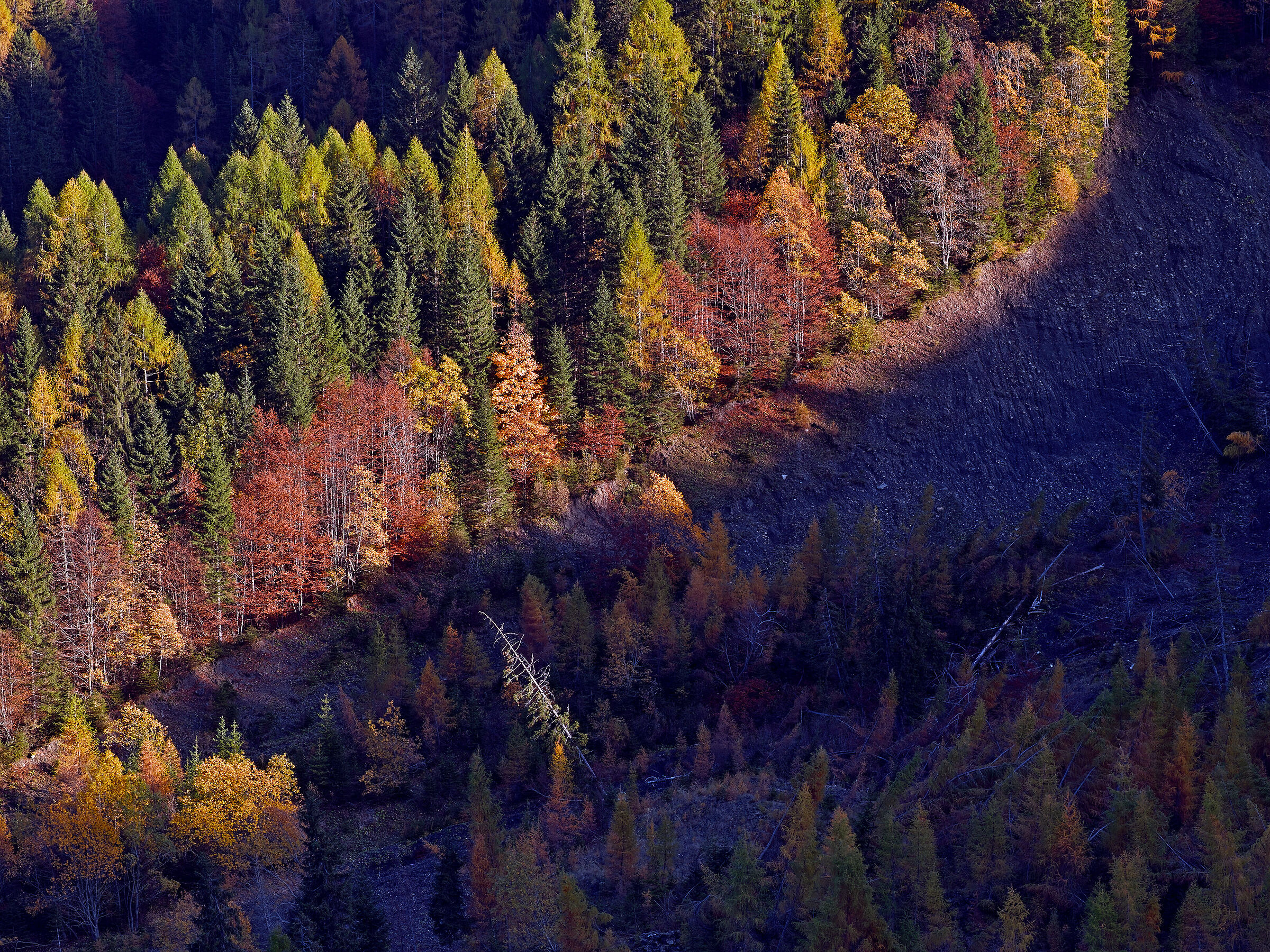Autumn colours at Duran