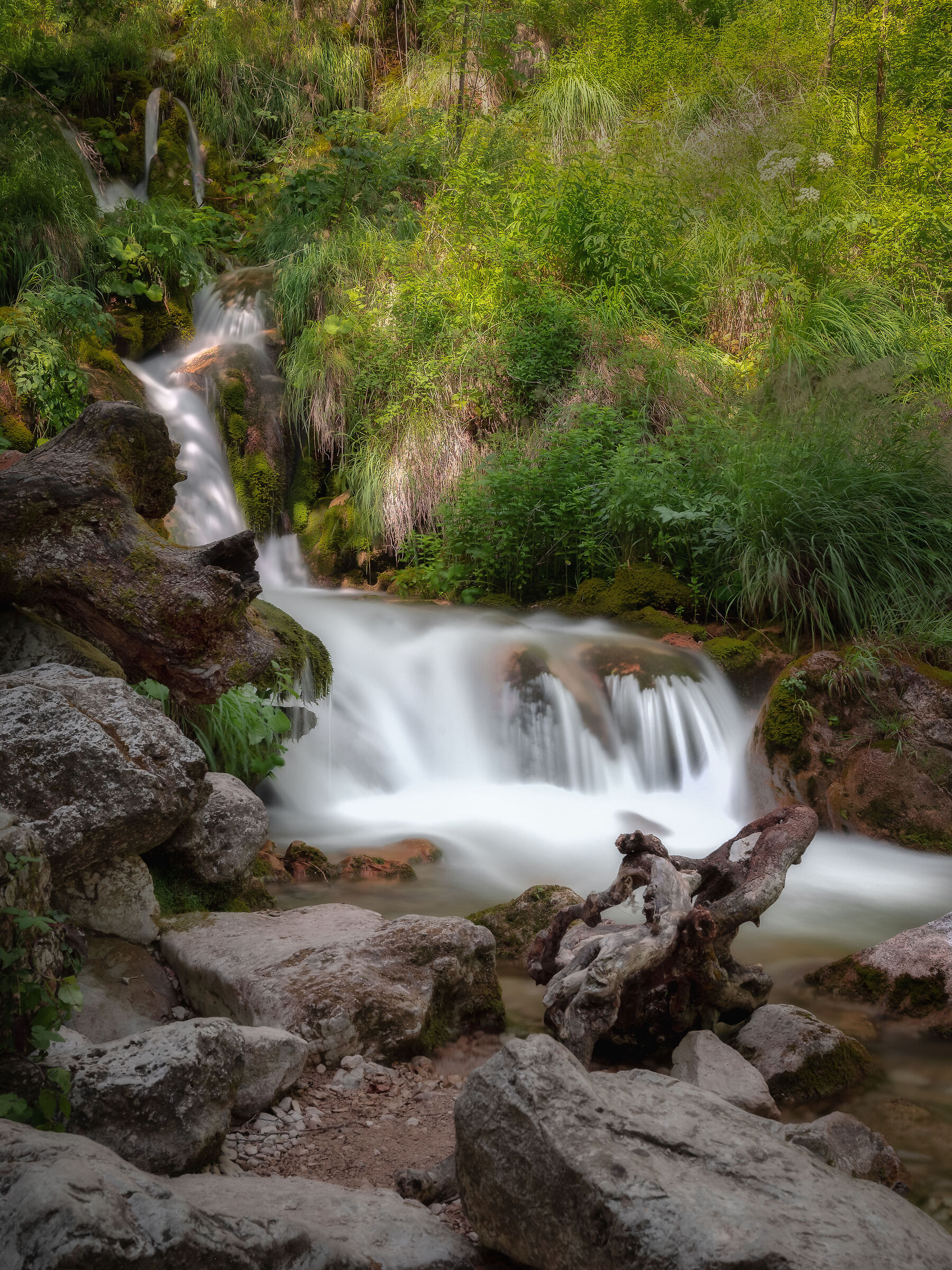Riserva Zompo Lo Schioppo.
