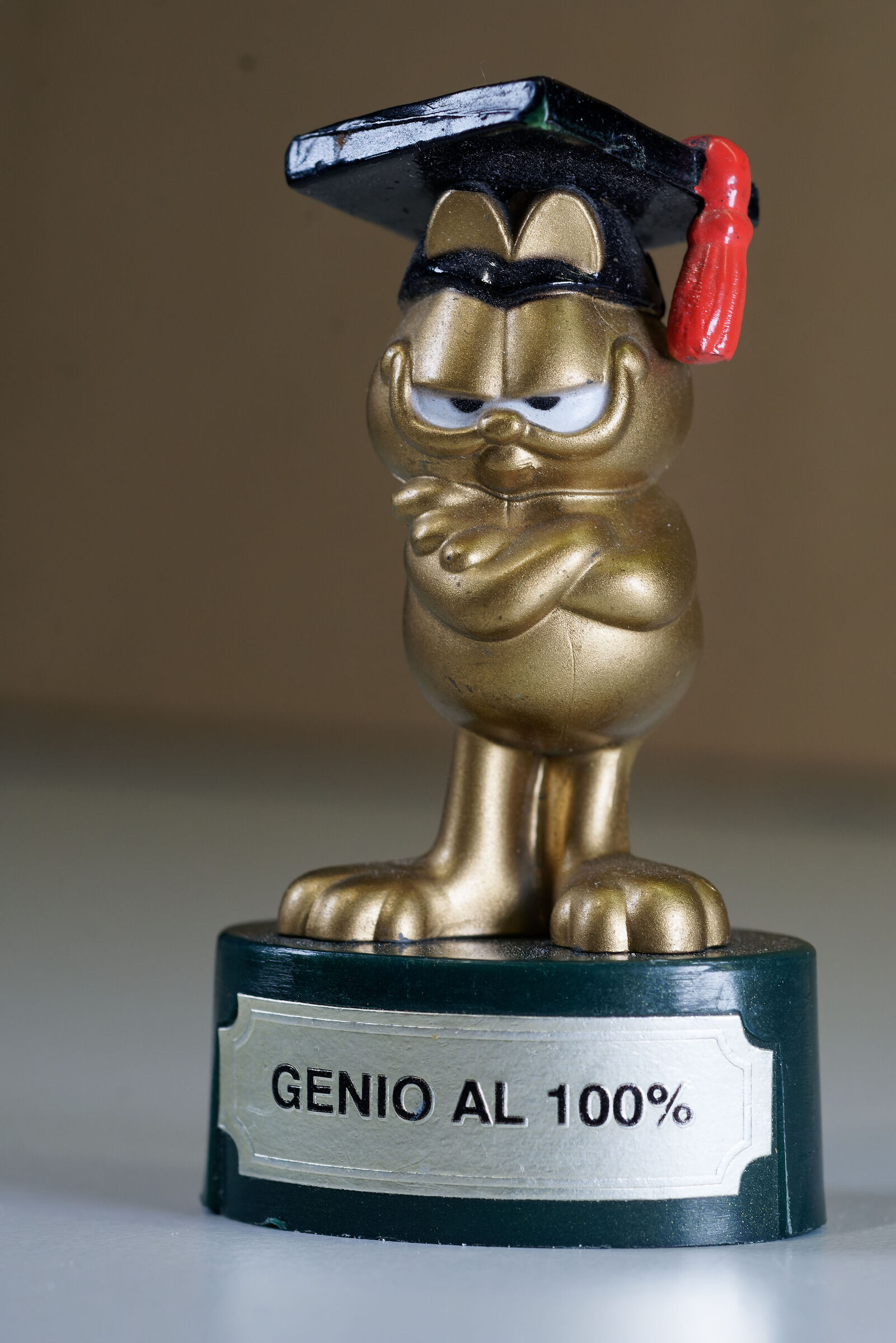 gattone intelligentone