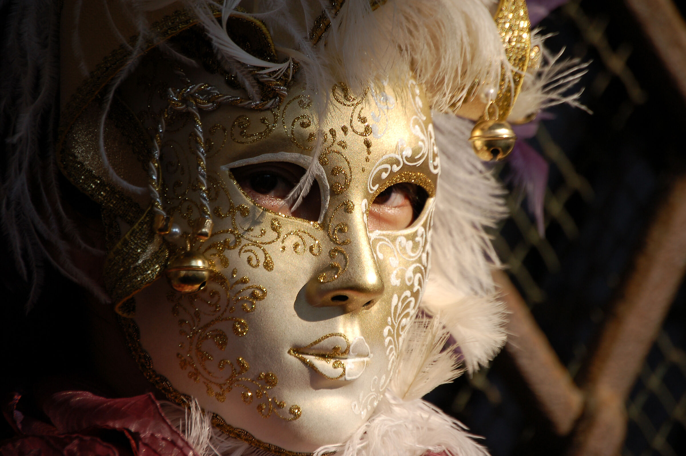 Carnevale Venezia