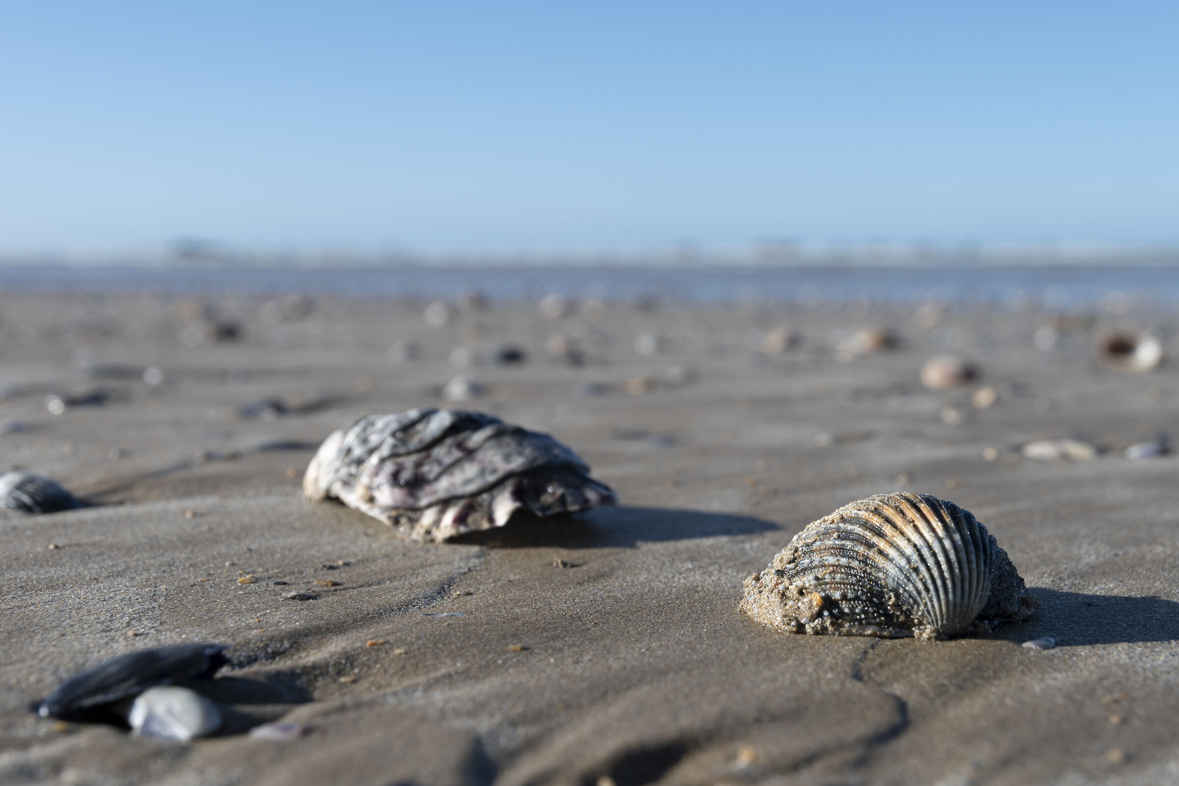Aspettando il ritorno del mare