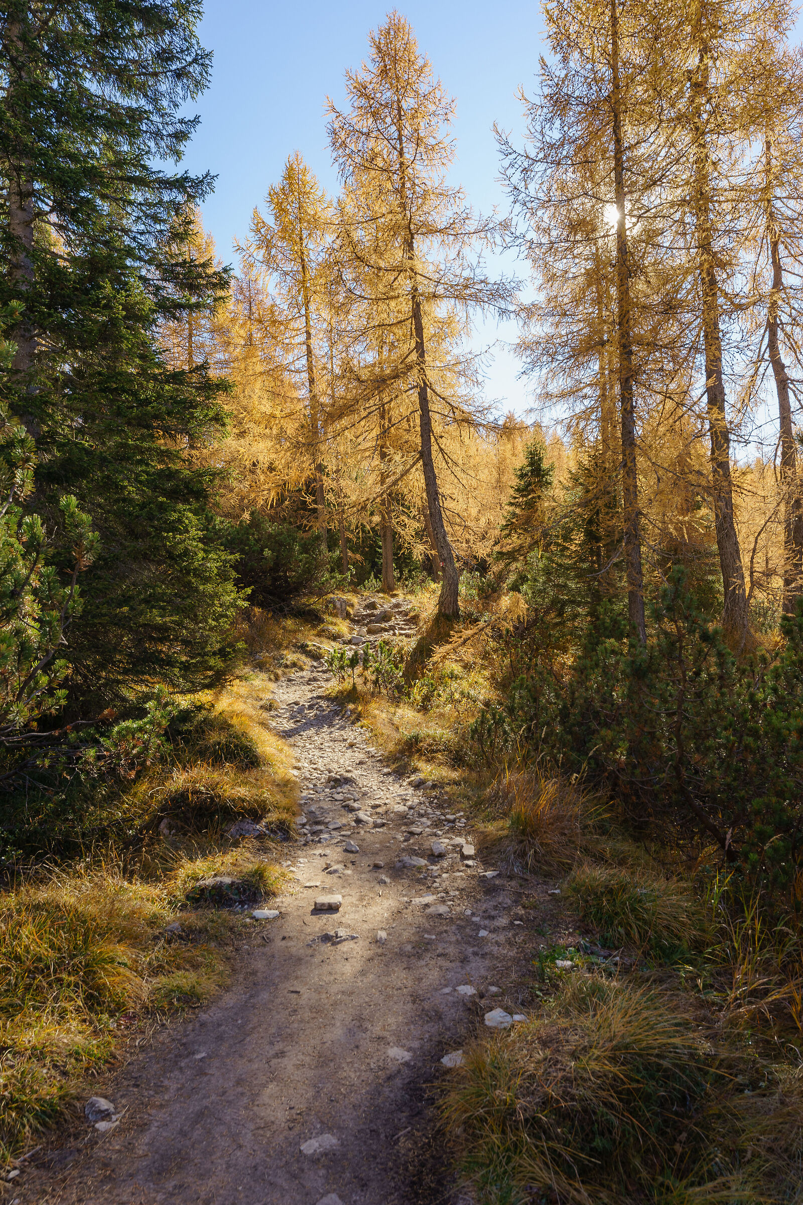 Tra i sentieri della Val di Zoldo - 2