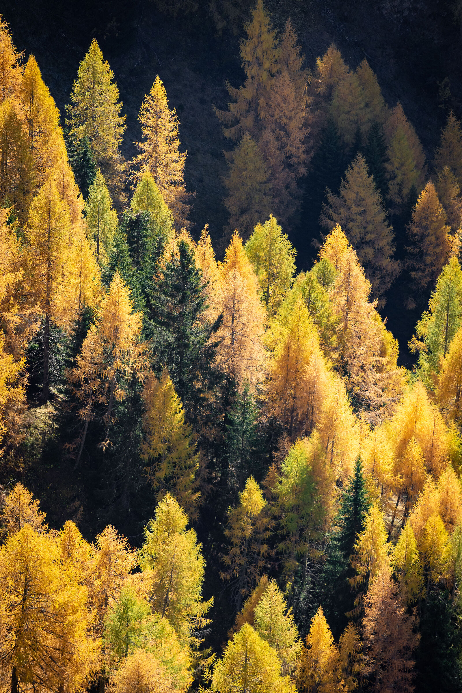 Autumn Pattern Vertical