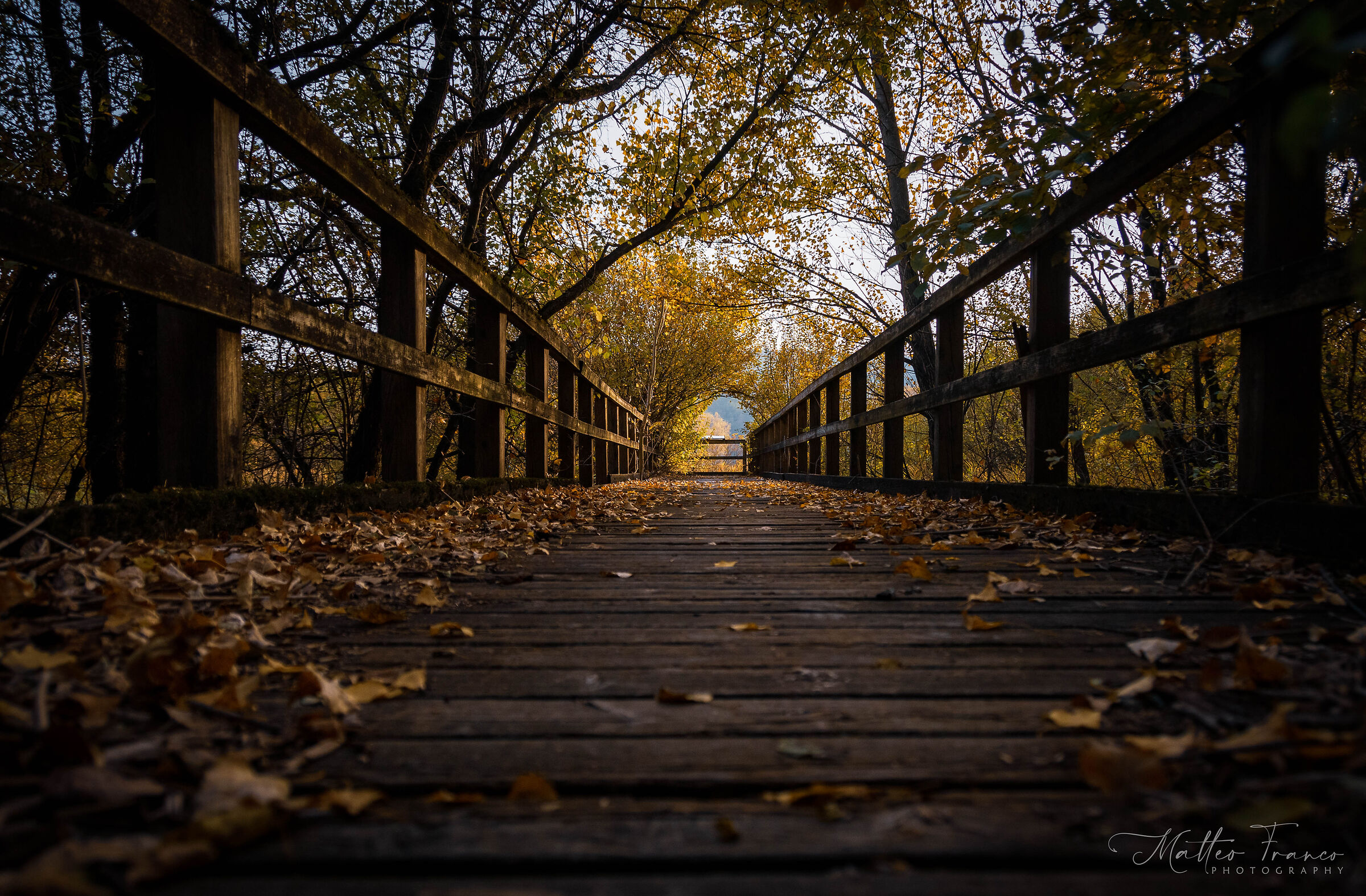 Bridge to autumn