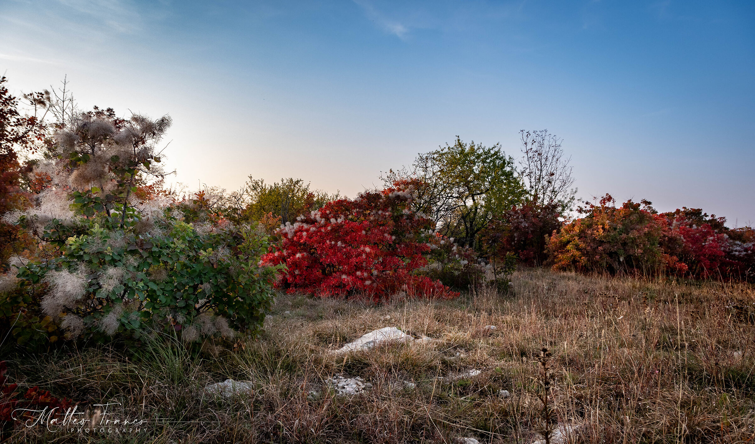 Autumn colors