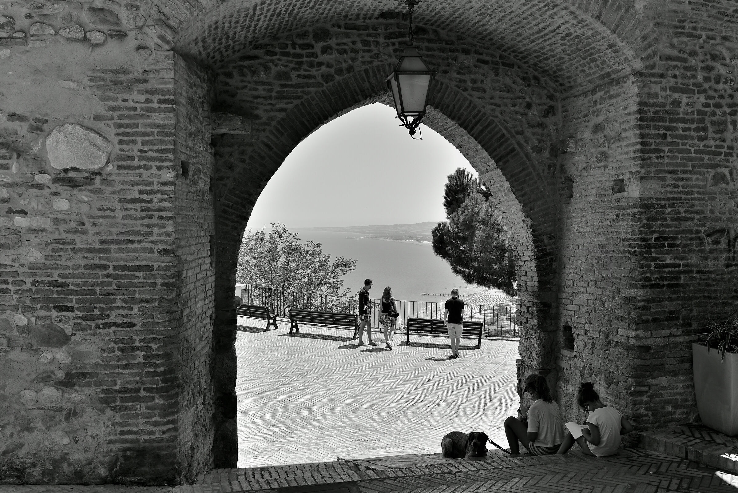 Scenes of life